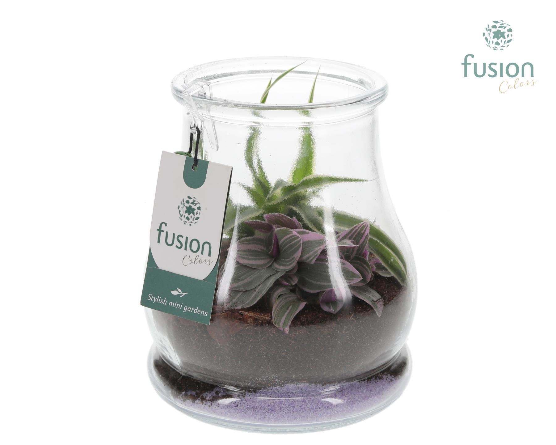 Glas Druppel met Arrangement, D 16