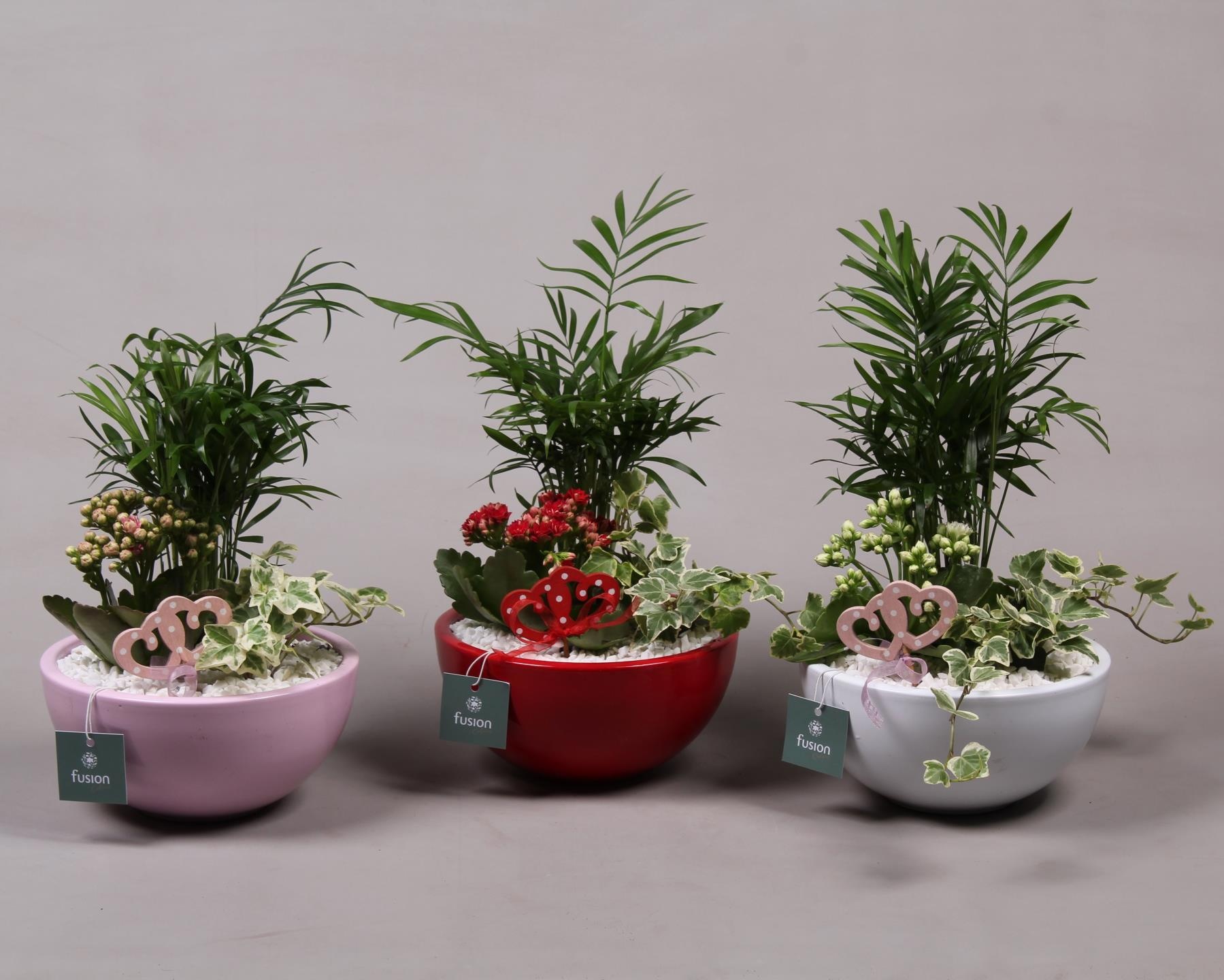 Keramiek moon 3 assortie met arrangement D18, D 18