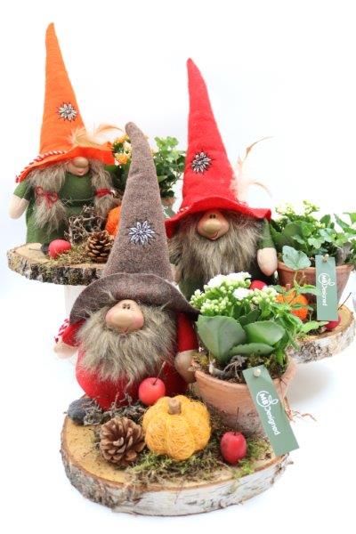 Herfstgnoom berkenschijf 28-32cm, D 30 cm Herfstgnoom berkenschijf 28-32cm, D 30 cm