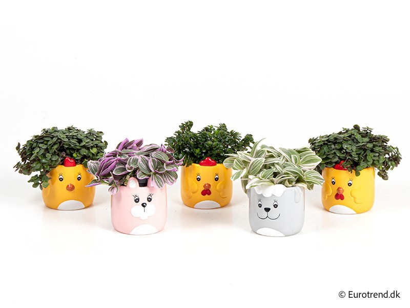 GREEN MIX IN E 4093, D 6