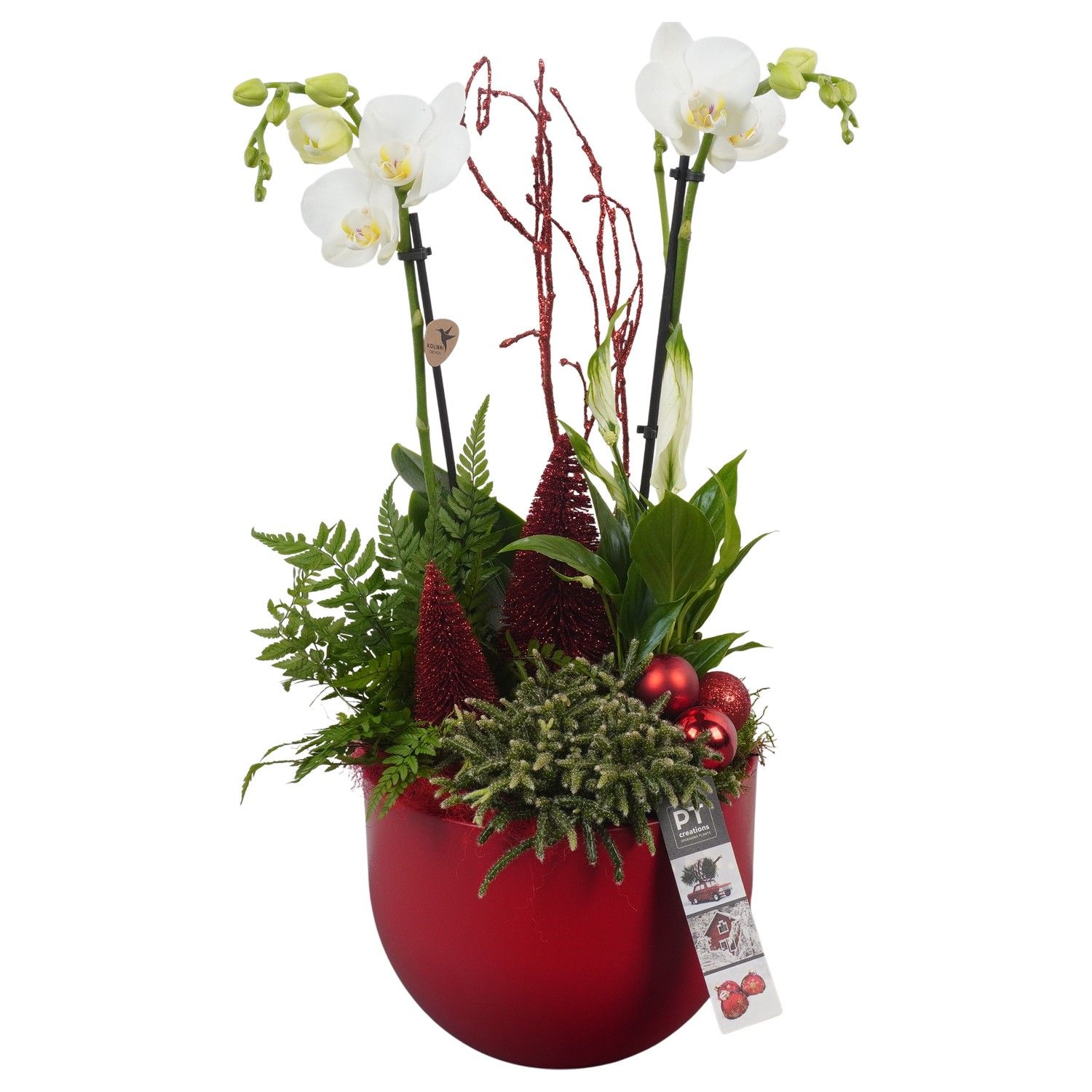 PTCHR7239 Arrangement Christmas Red in keramiek pot, D 19 cm