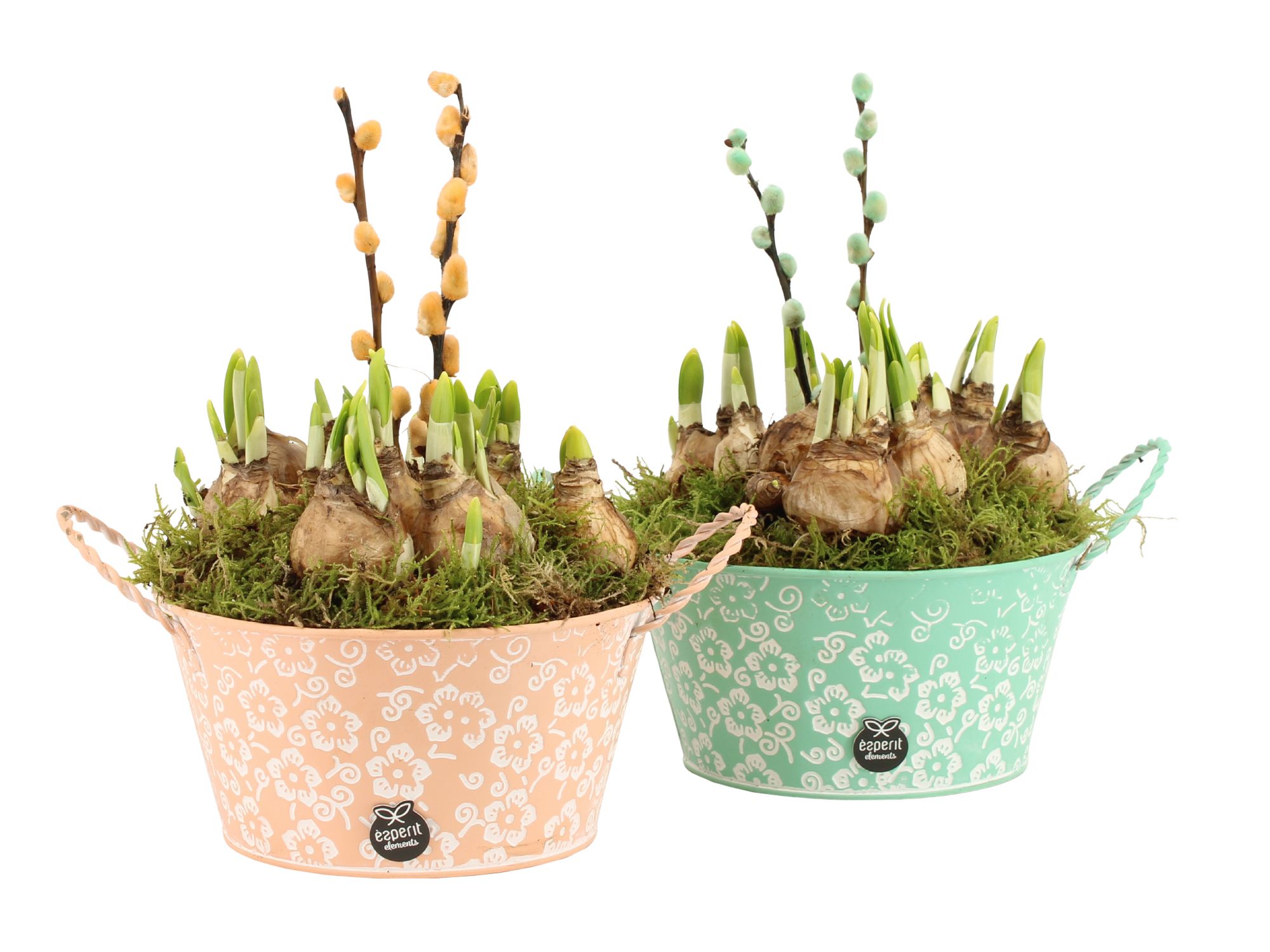 11648: Outdoor spring arrangement, D 18 cm