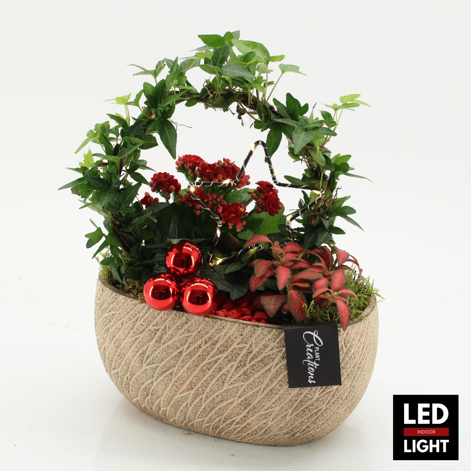 XMAS-25270LED Kerst creatie, D 23 cm XMAS-25270LED Kerst creatie, D 23 cm