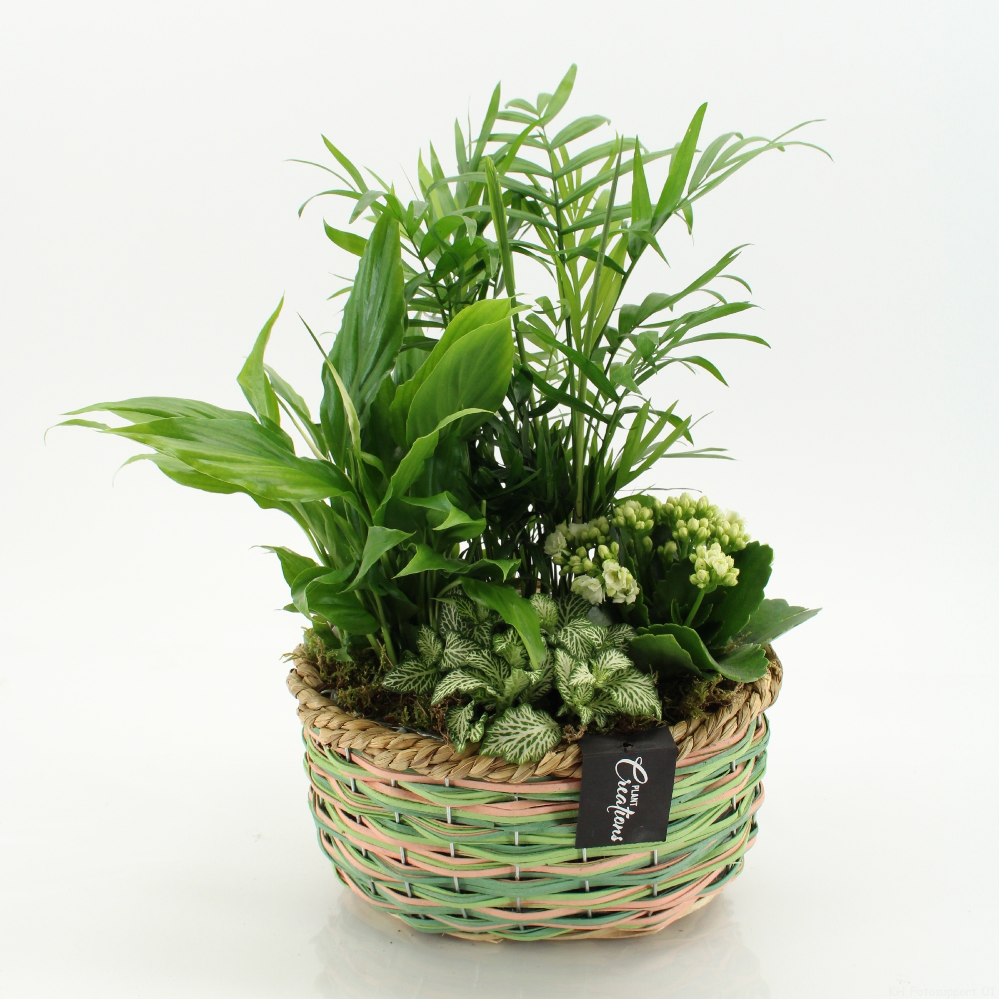 ESCR-2641W Essentials, D 21