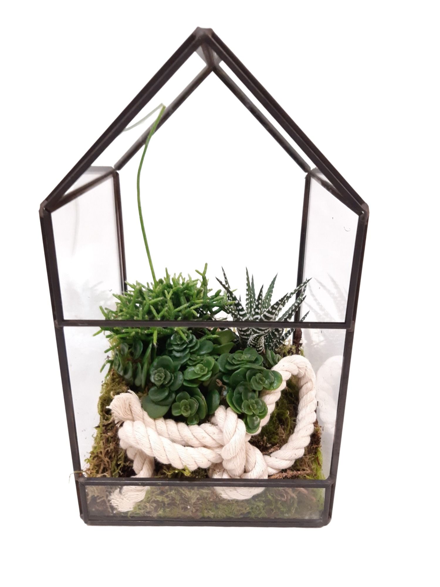 GHK12WHI H21 Terrarium glashouse mini gr.mix, D 12