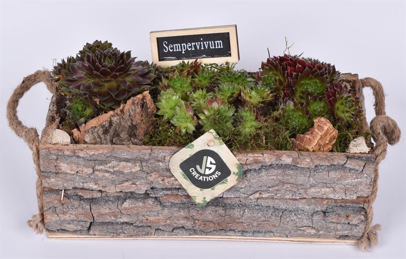 Boomschors rechth. met touw 26x12cm, D 26