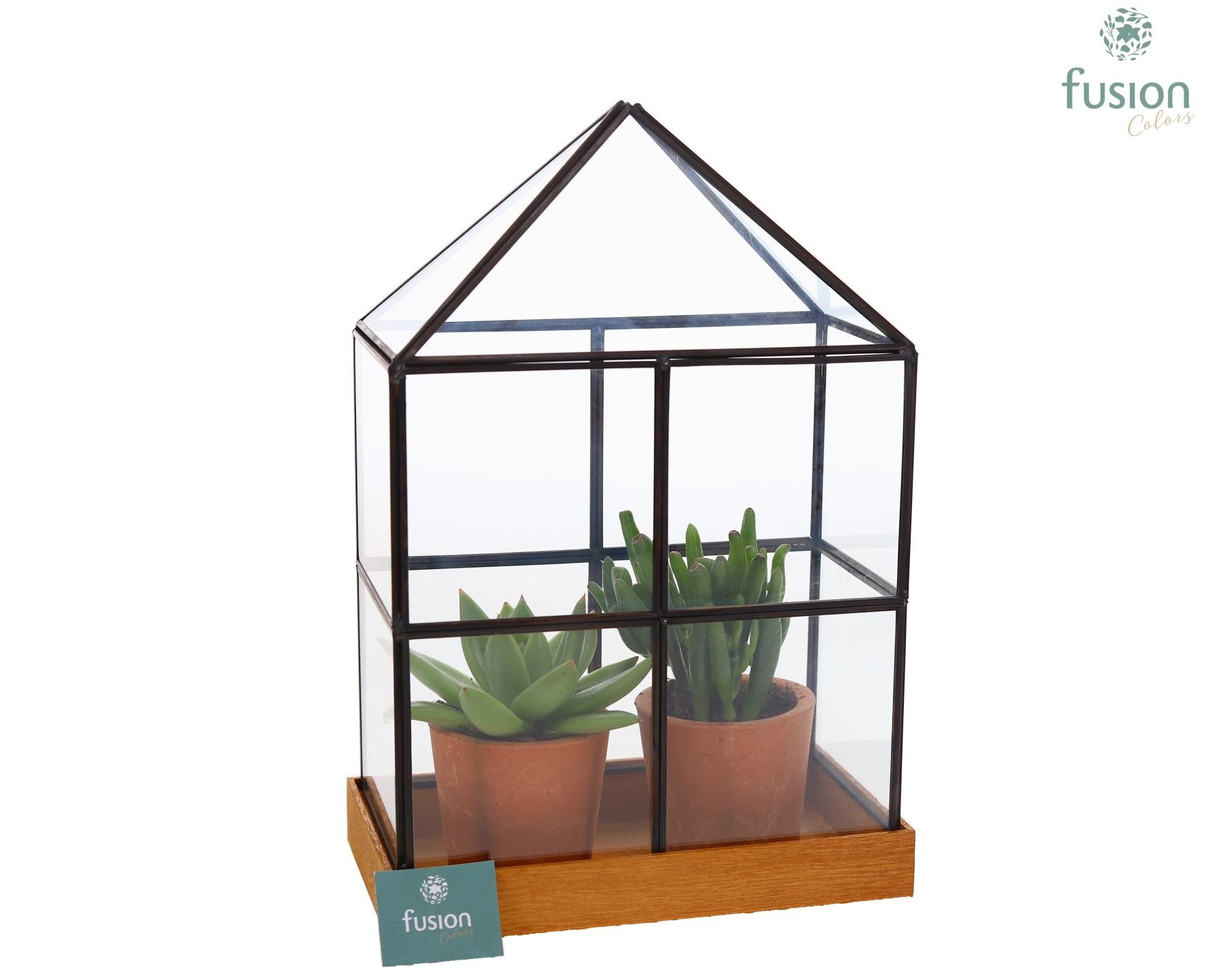 Glas Huisje met metaal met Succulenten, D 19