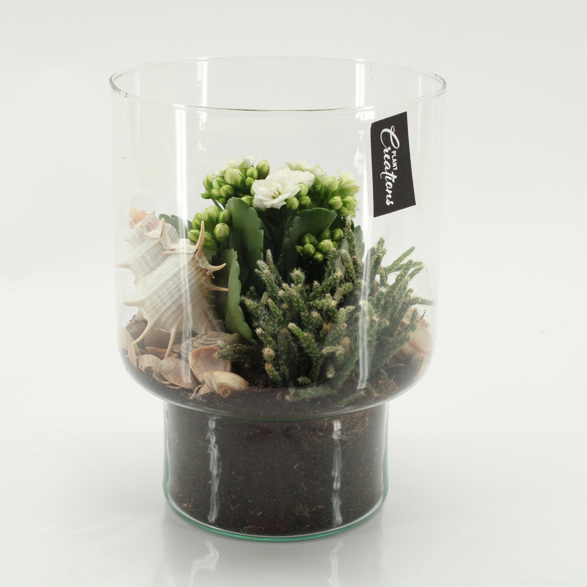 SFCR-2615 Summer Beach, D 15