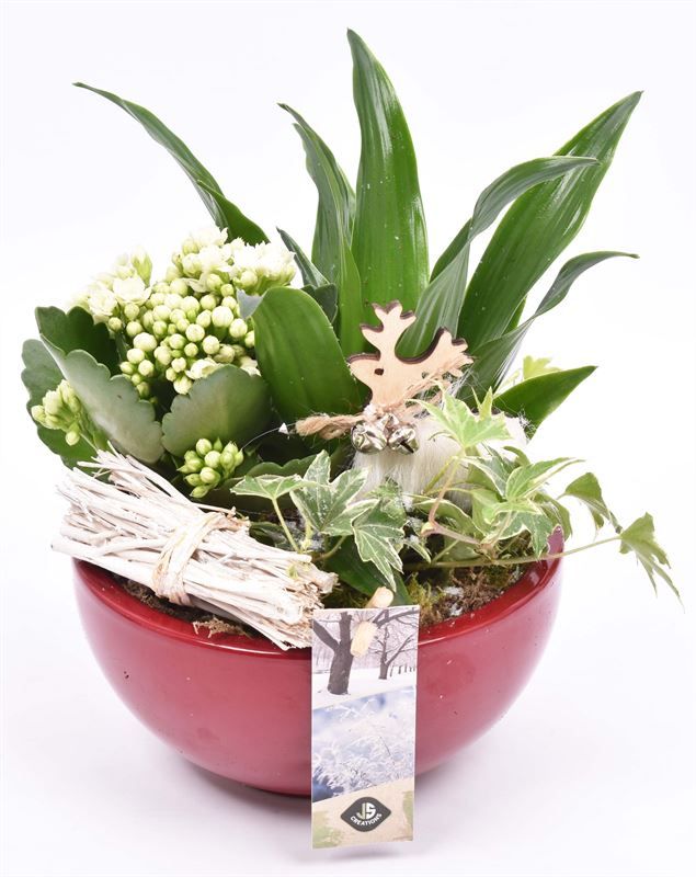 Keramiek schaal wijnrood 15,5cm, D 16 cm Keramiek schaal wijnrood 15,5cm, D 16 cm