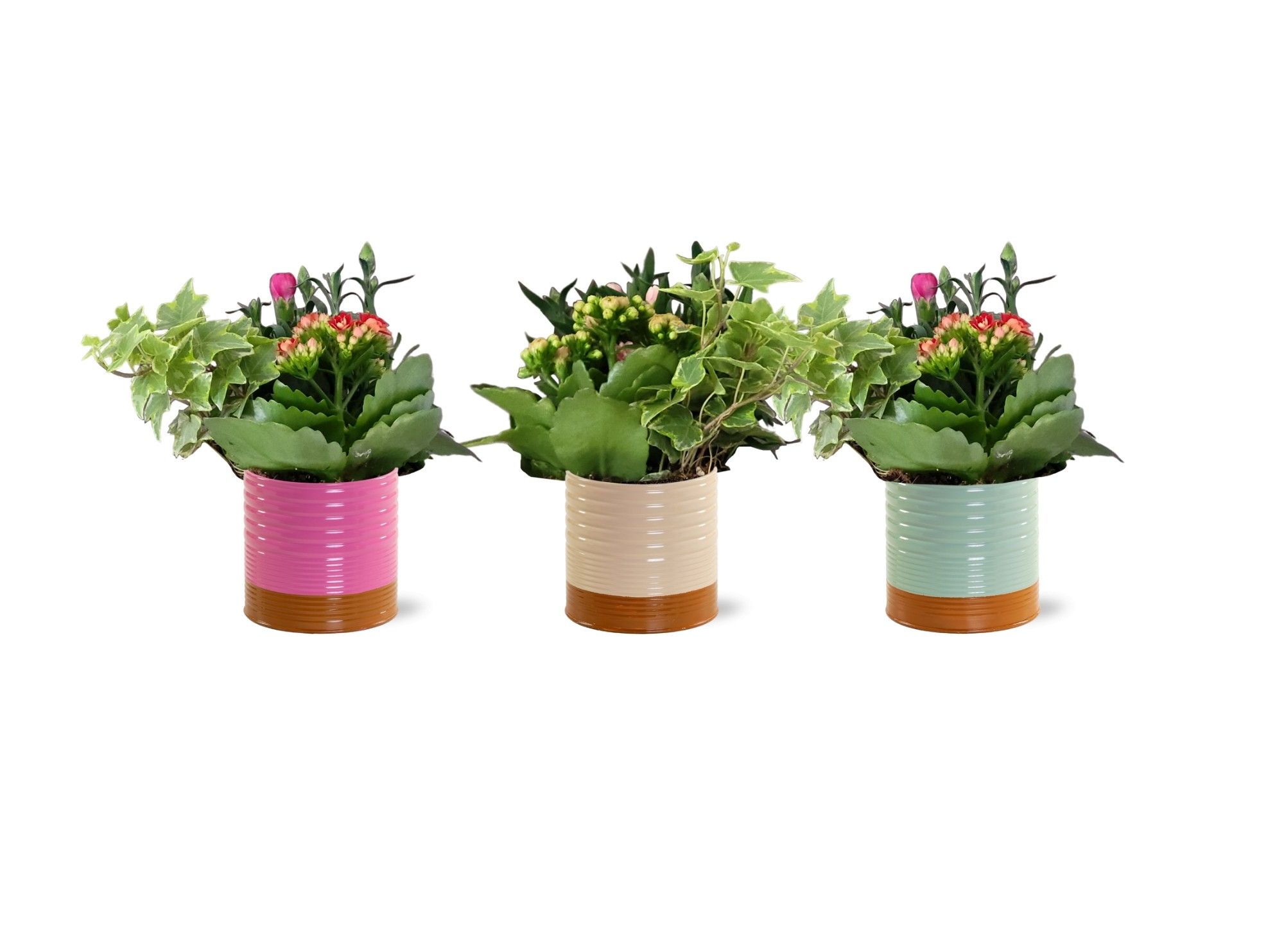 Collectie 'Tasty Bubble' - Arrangement in Zink Nola, D 12