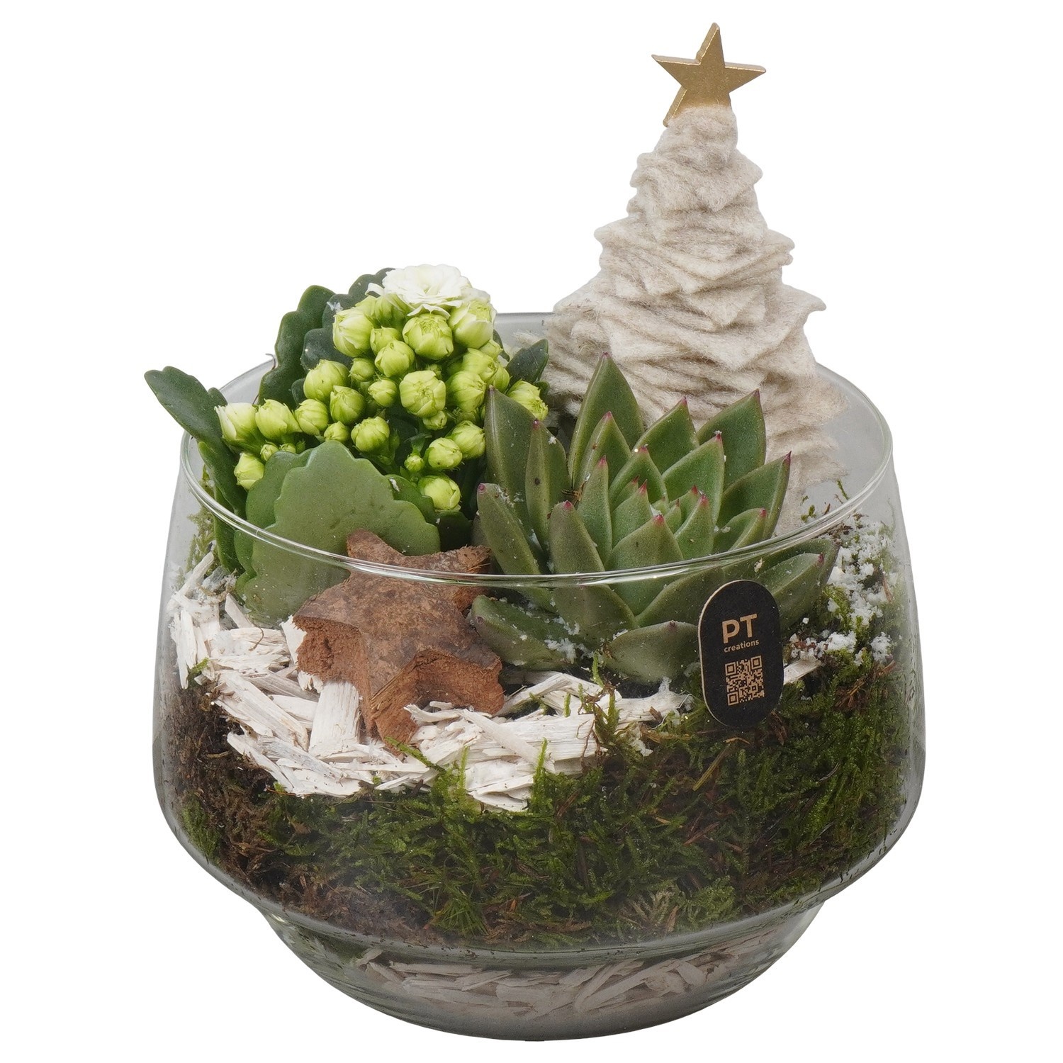 PTCHB5831 Arrangement Christmas Bronze in glazen vaas, D 17