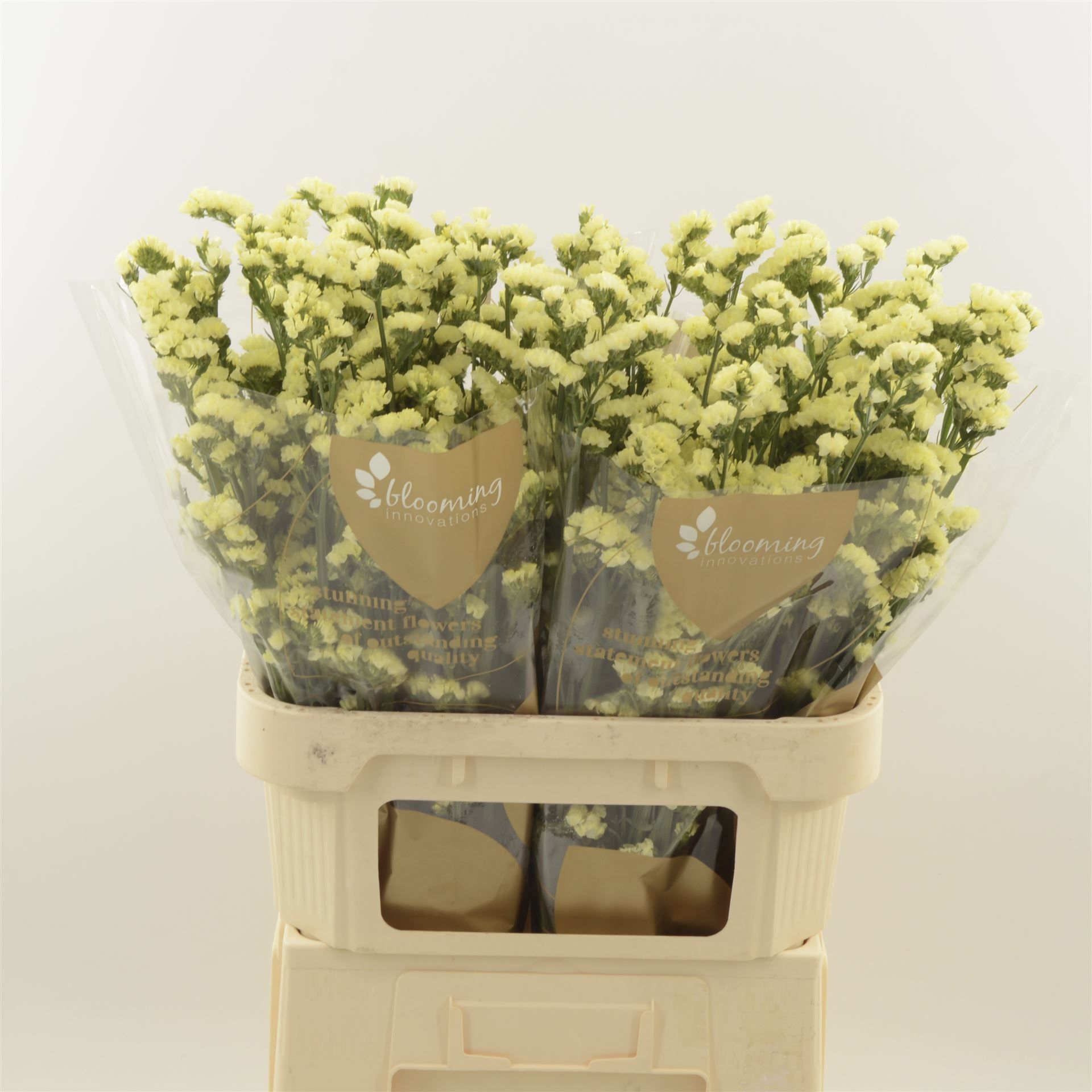 Статица Глосси Вингз 80, шт.