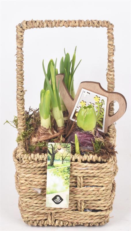 Touw mand vierkant 12,5x12,5cm, D 13