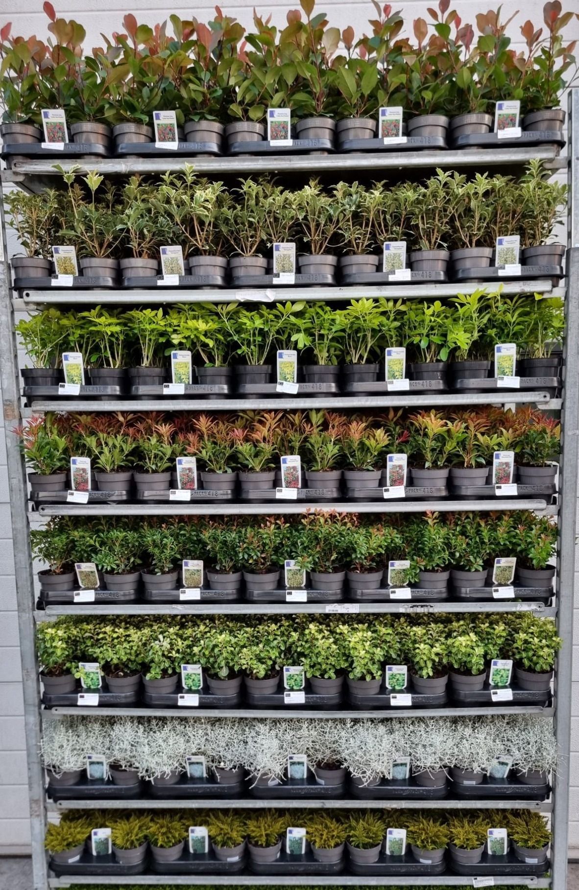 Transport en Handling kosten kleine partijen, D 9,5