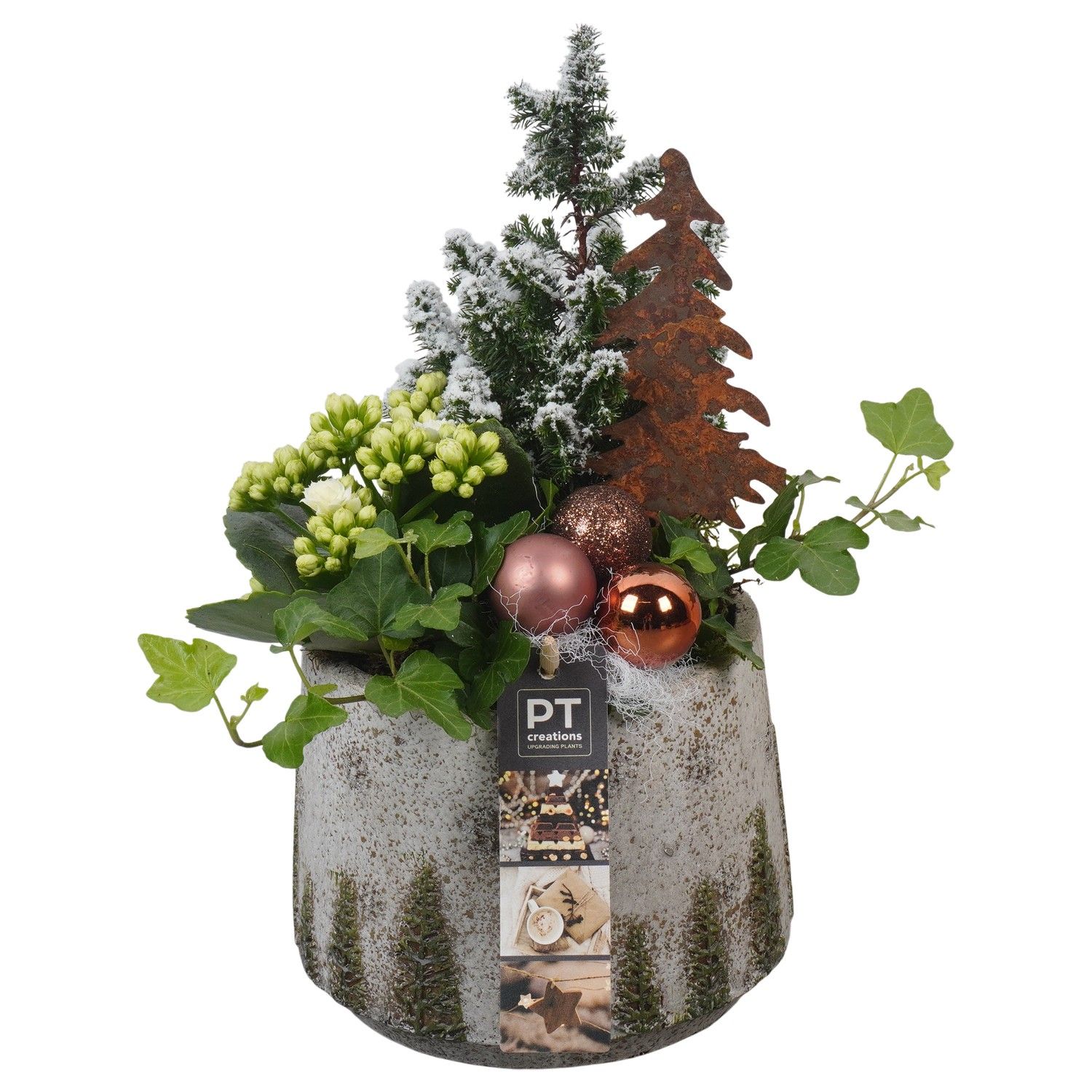 PTCHB9769 Arrangement Christmas Bronze in beton pot, D 15 cm