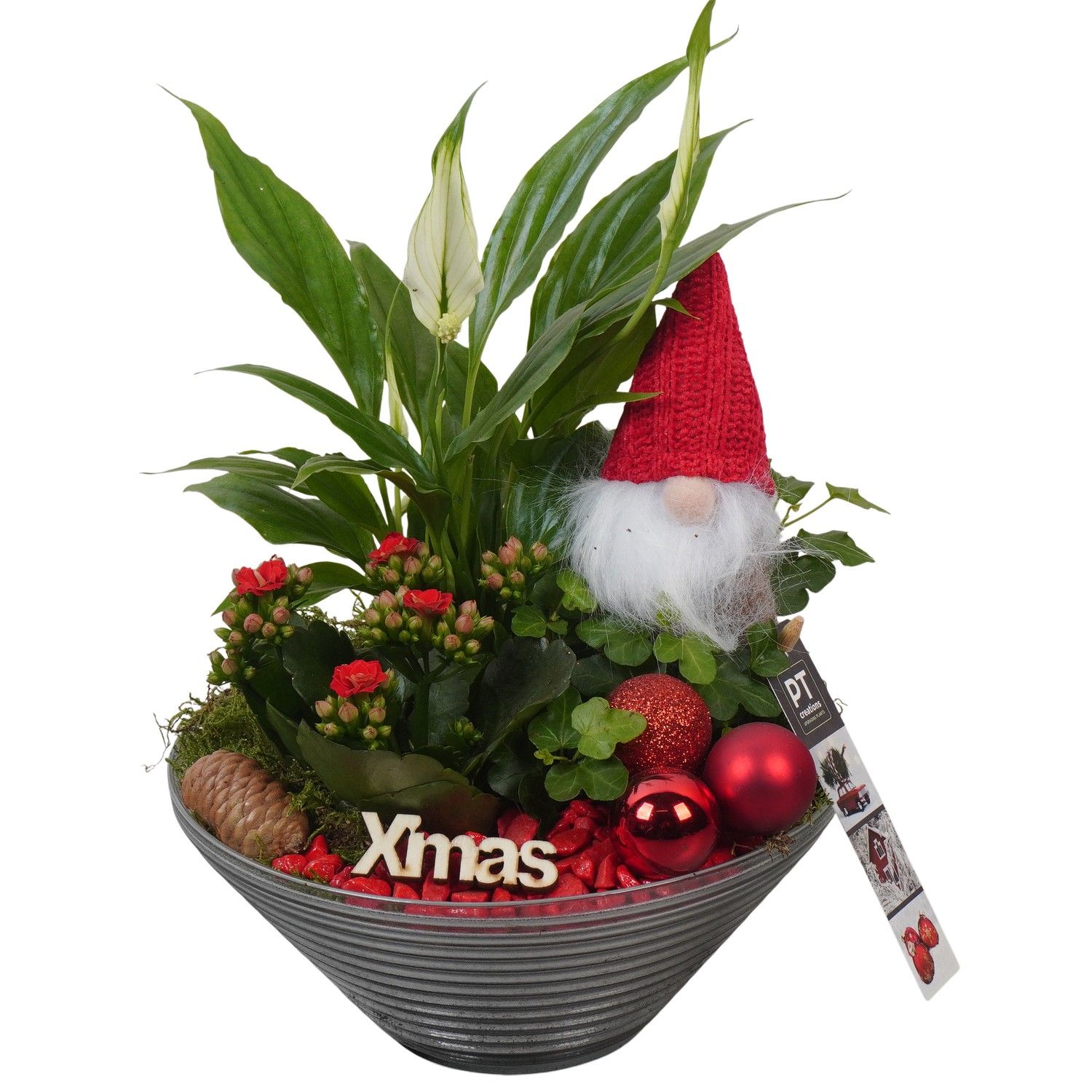 PTCHR7426 Arrangement Christmas Red in glas schaal, D 19 cm