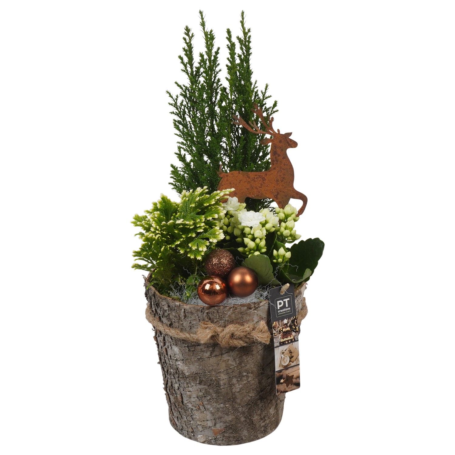 PTCHB9810 Arrangement Christmas Bronze in houten pot, D 17 cm