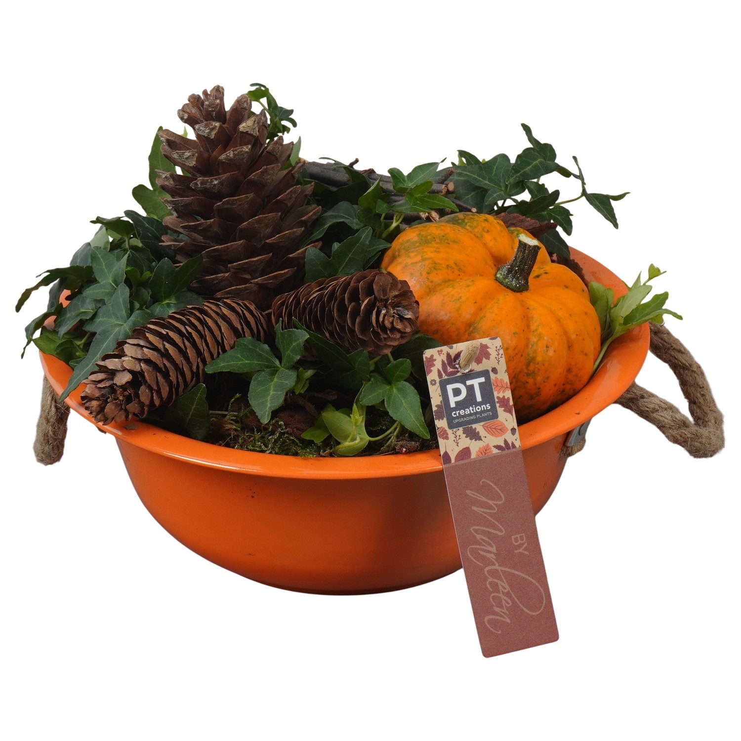 PTSF8205 Arrangement Kalebas hedera in metalen schaal, D 24 cm