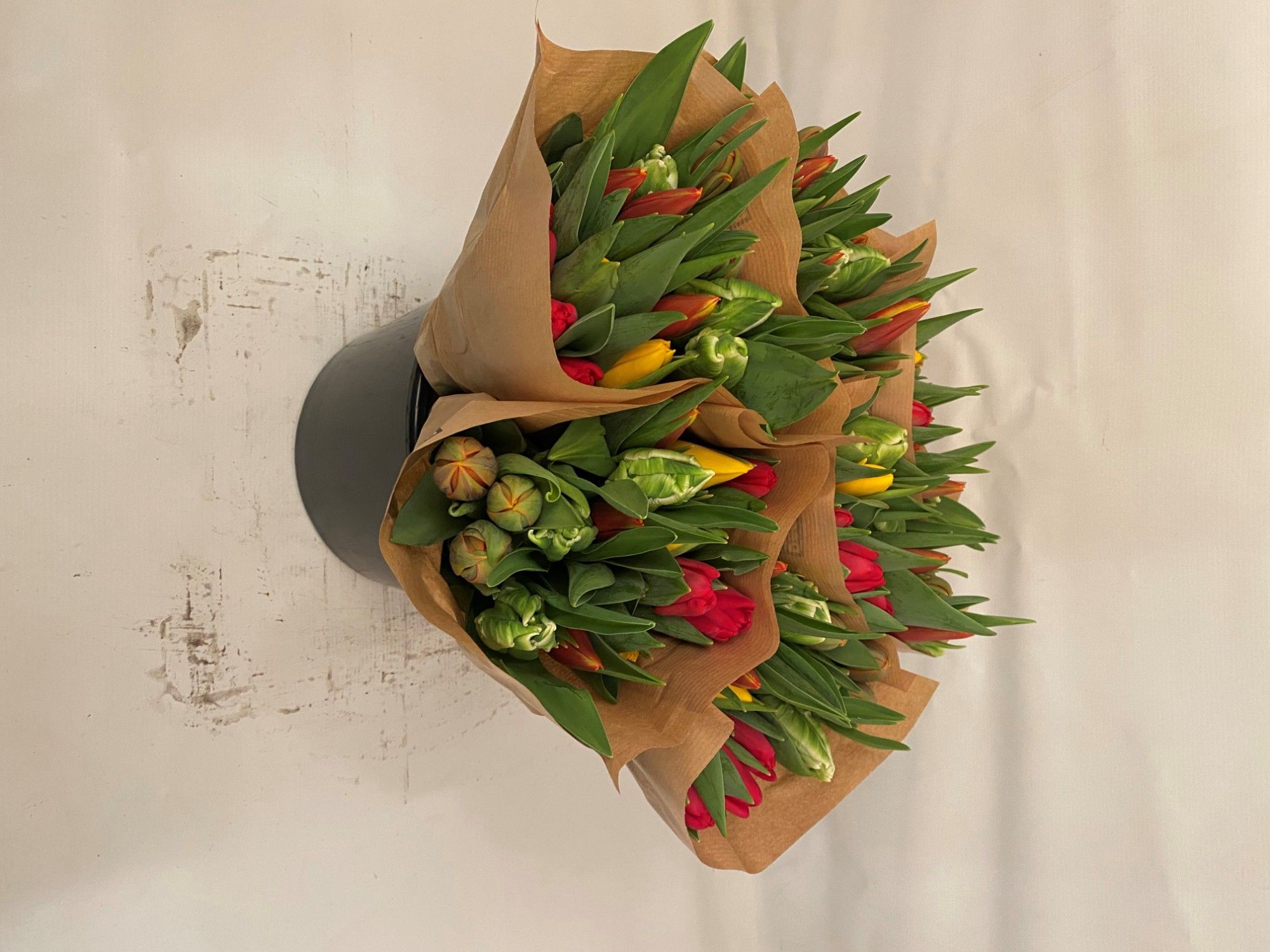 Тюльпан од. Овериг, шт.