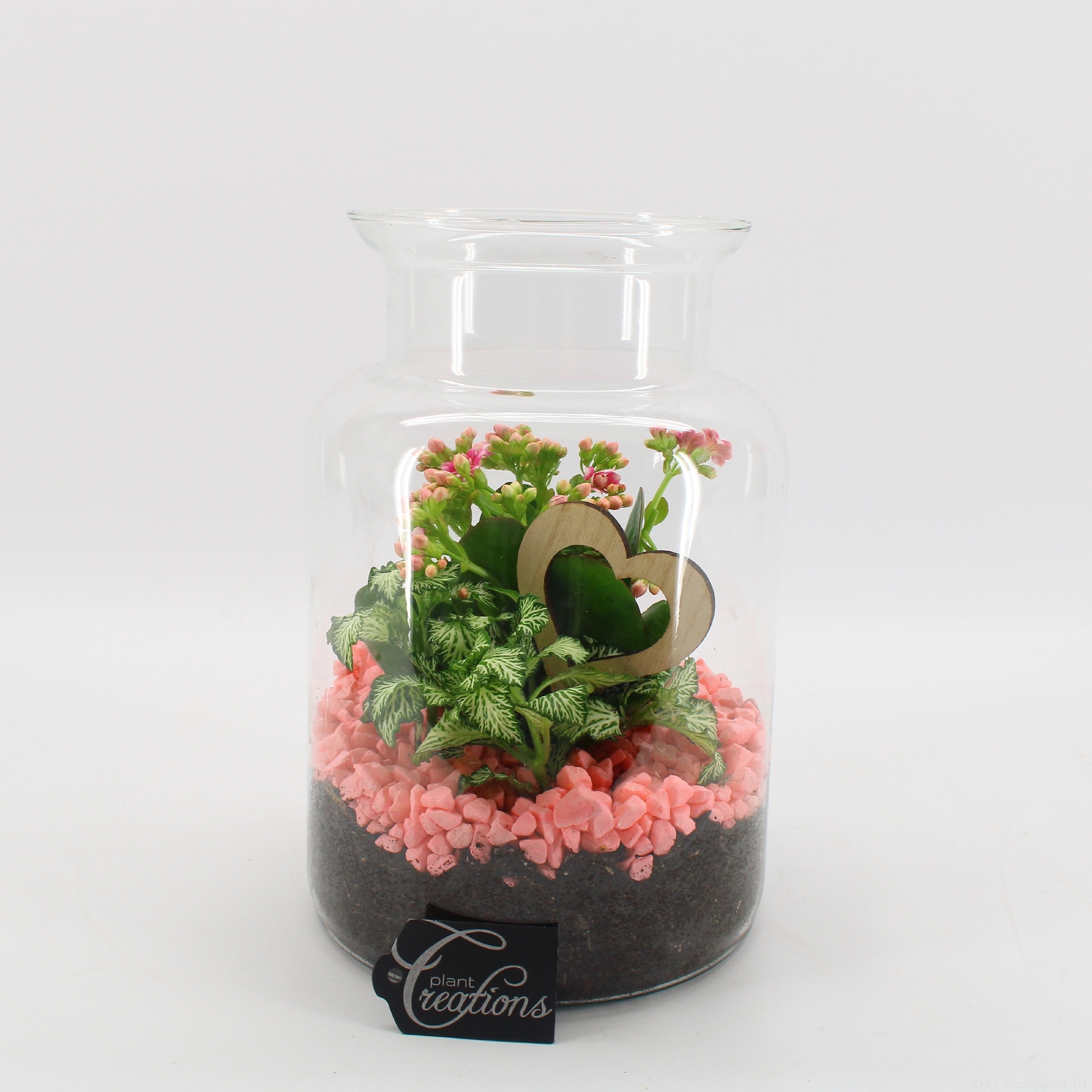 FDRM-2606RZ Romantic Fundamentals, D 17