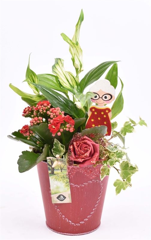 Zink pot rood met hart 18cm, D 18