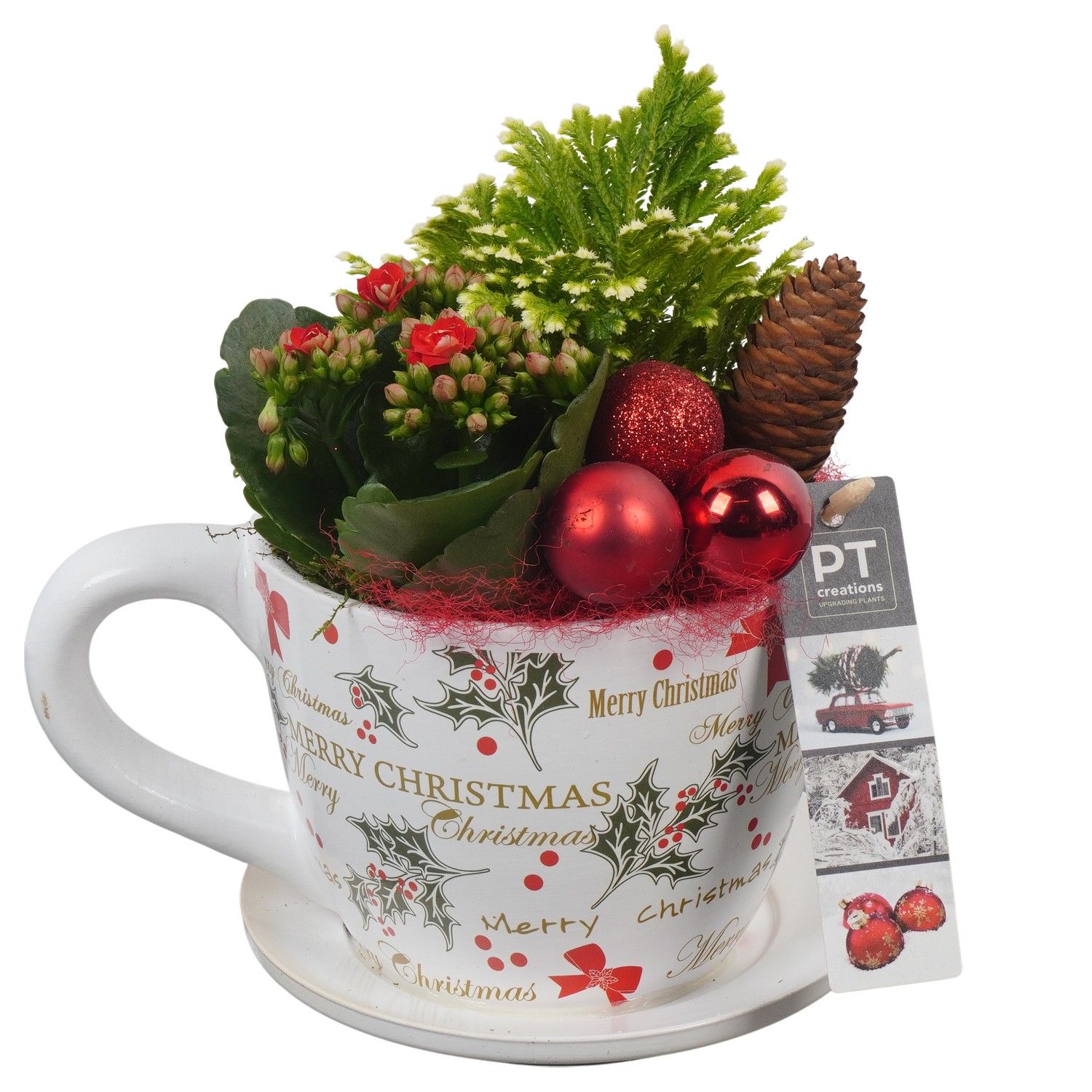 PTCHR7290 Arrangement Christmas Red in keramiek pot, D 15 cm