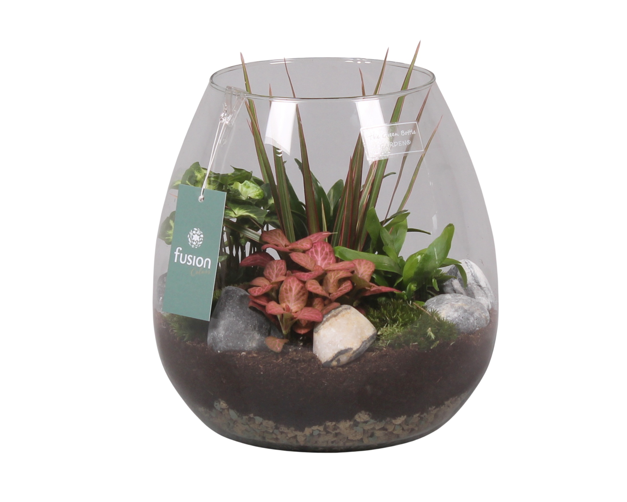 Green Bottle Abby Large met Groen Planten, D 24