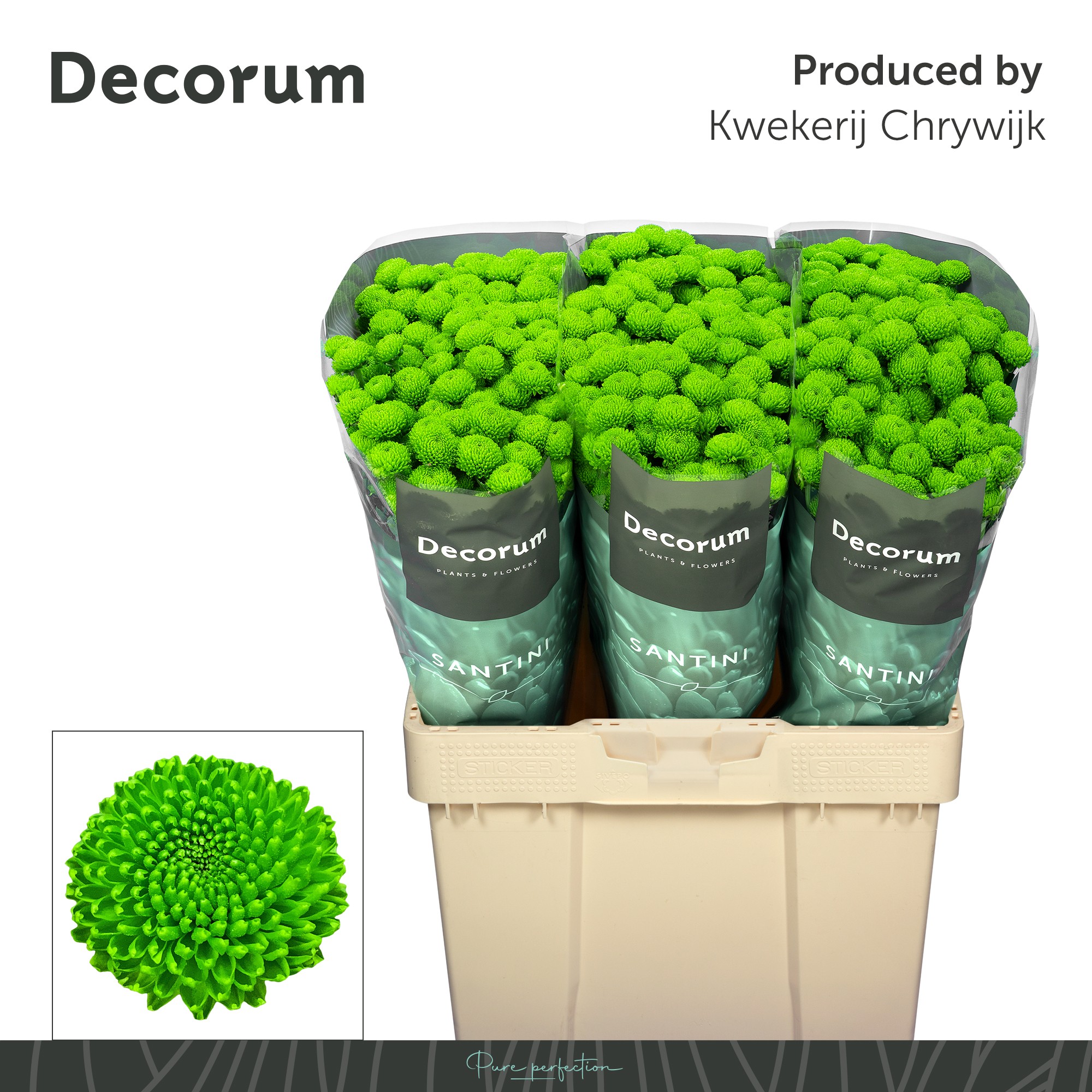 Сантини Пепток (зел.), шт.