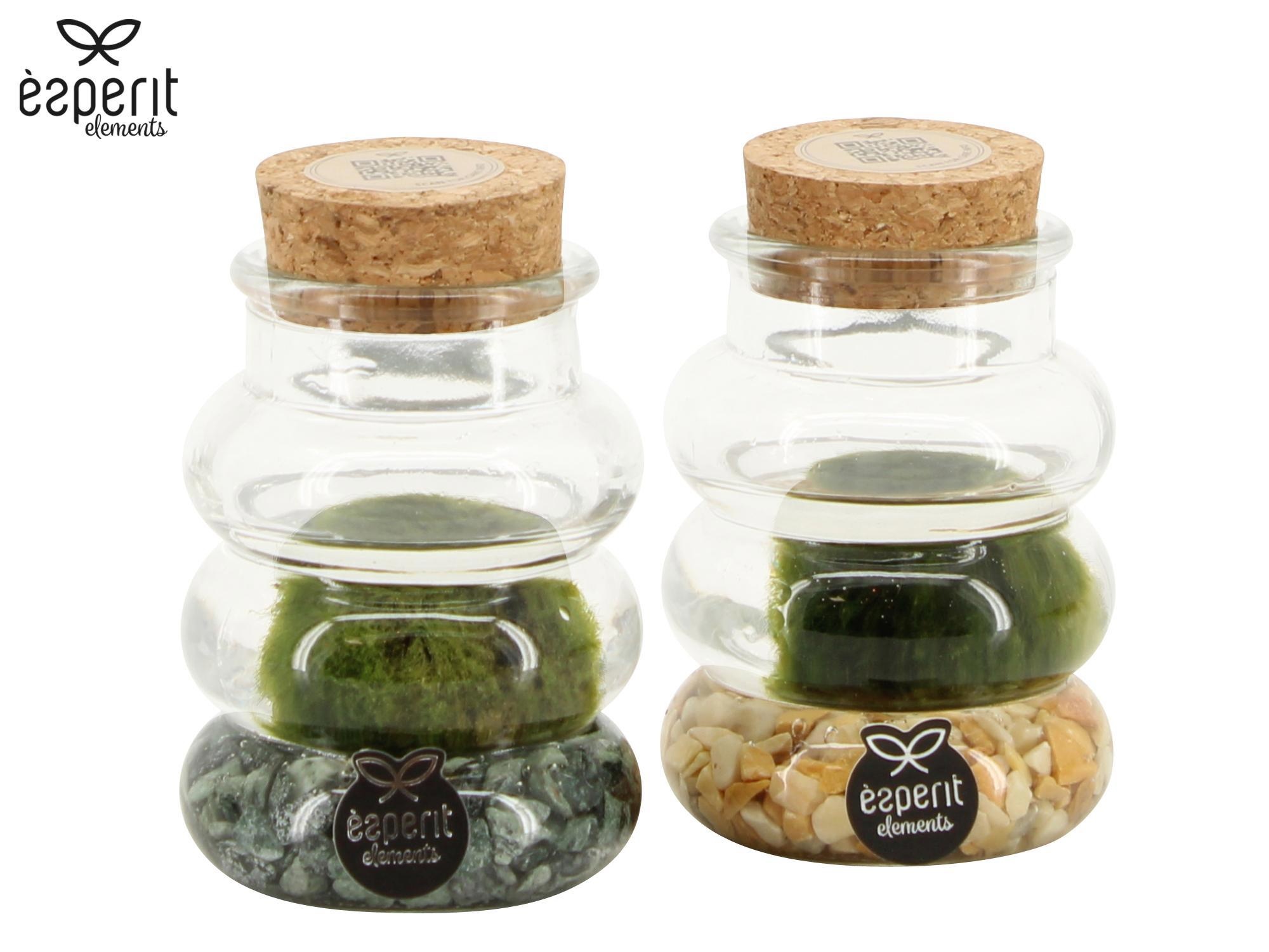 90698: Marimo arrangement, D 7 cm 90698: Marimo arrangement, D 7 cm