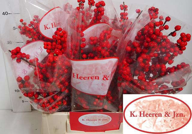 Илекс Красные ягоды 45, шт.