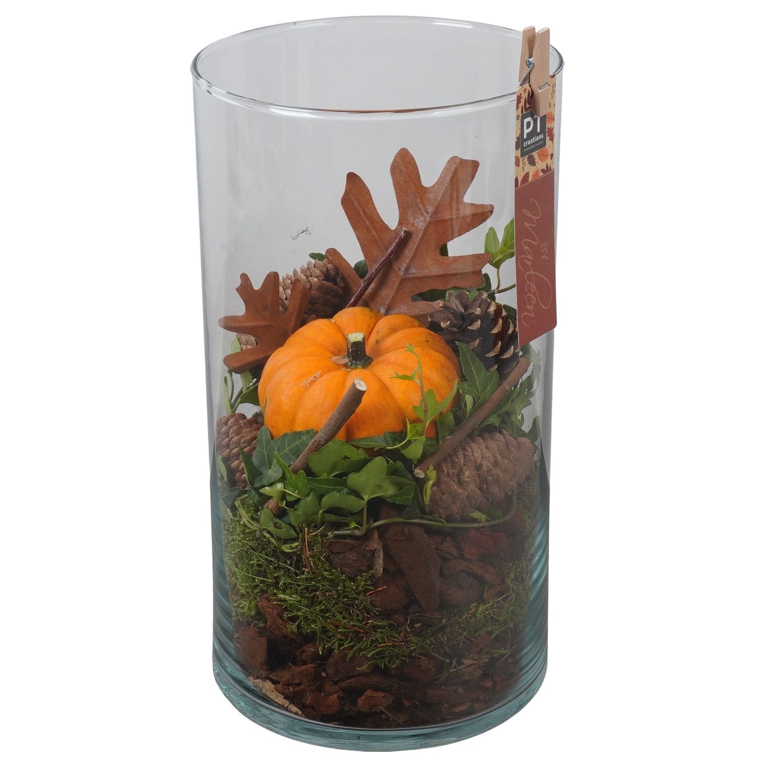 PTSF8245 Arrangement Kalebas hedera in glazen vaas, D 16 cm