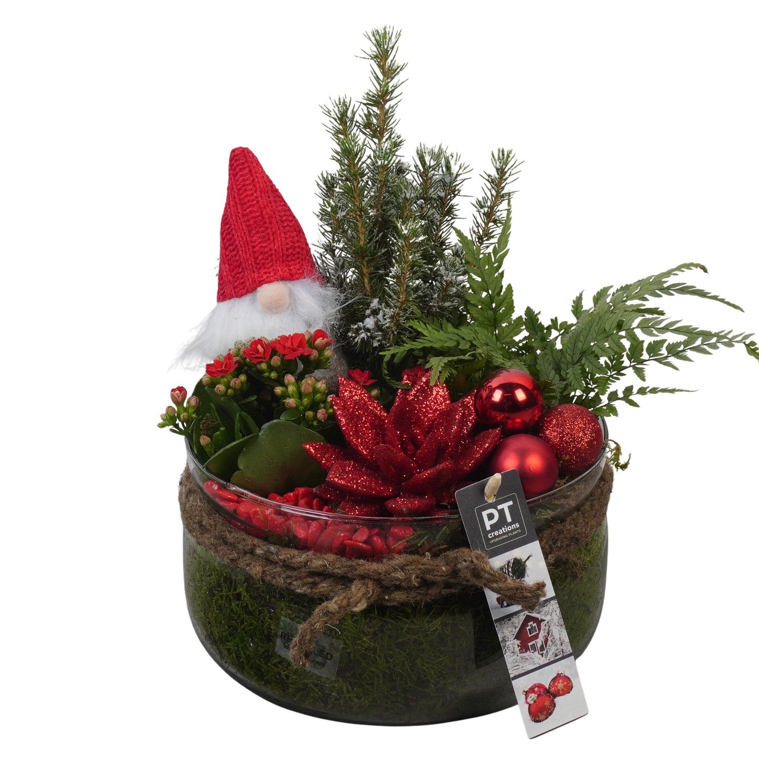 PTCHR7449 Arrangement Christmas Red in glas schaal, D 19 cm
