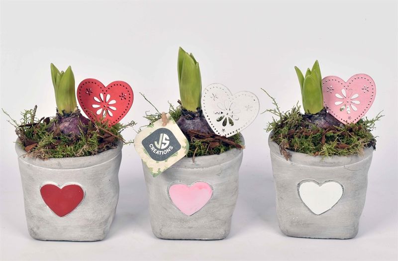 Cement potje met hart 11cm, D 10