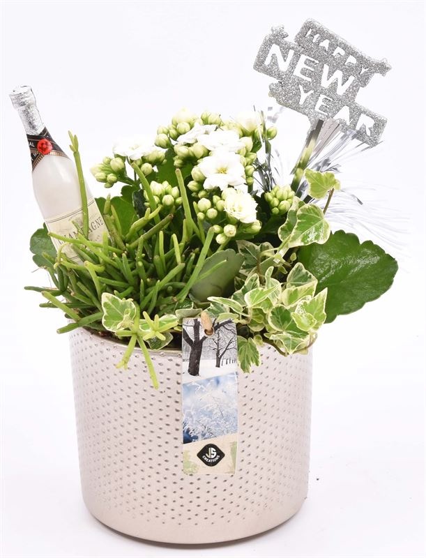 Keramiek pot champagne 14cm, D 14