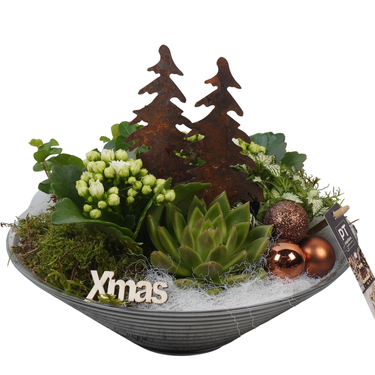 PTCHB9838 Arrangement Christmas Bronze in glas schaal, D 26 cm