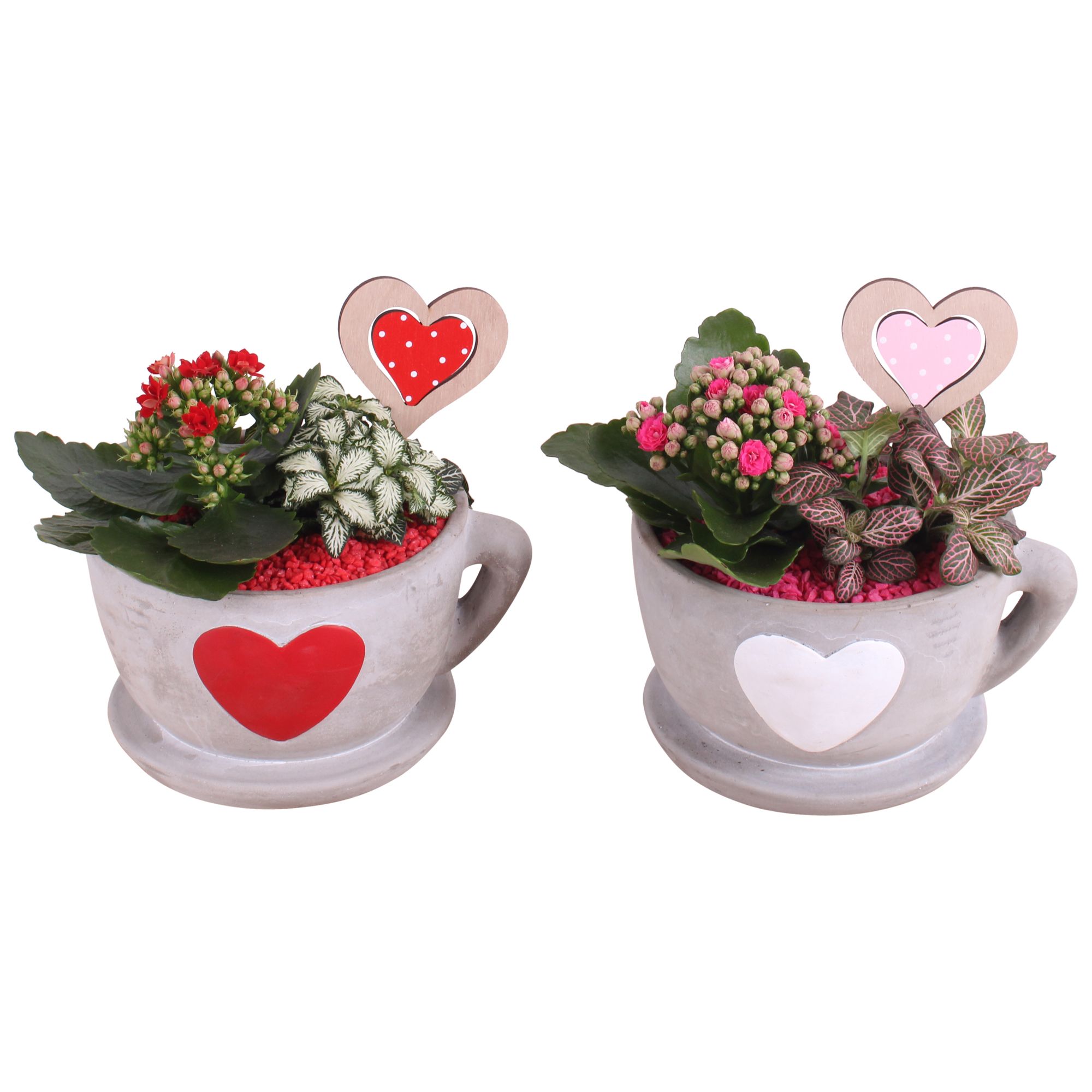 Valentine Arr. Indoor Ceramic Cup Hearts Red/White Ø19cm 2PP, D 19
