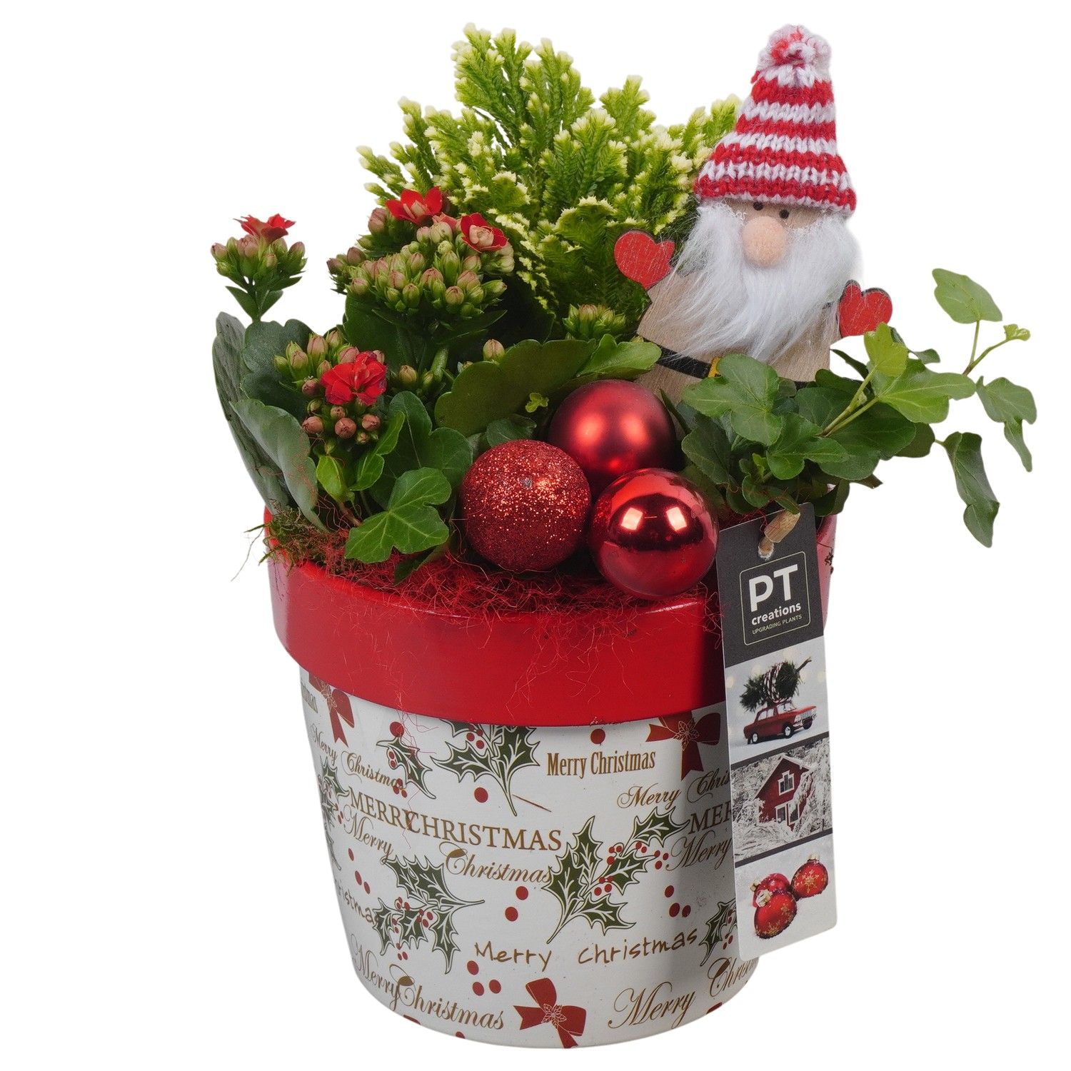 PTCHR7293 Arrangement Christmas Red in keramiek pot, D 14 cm