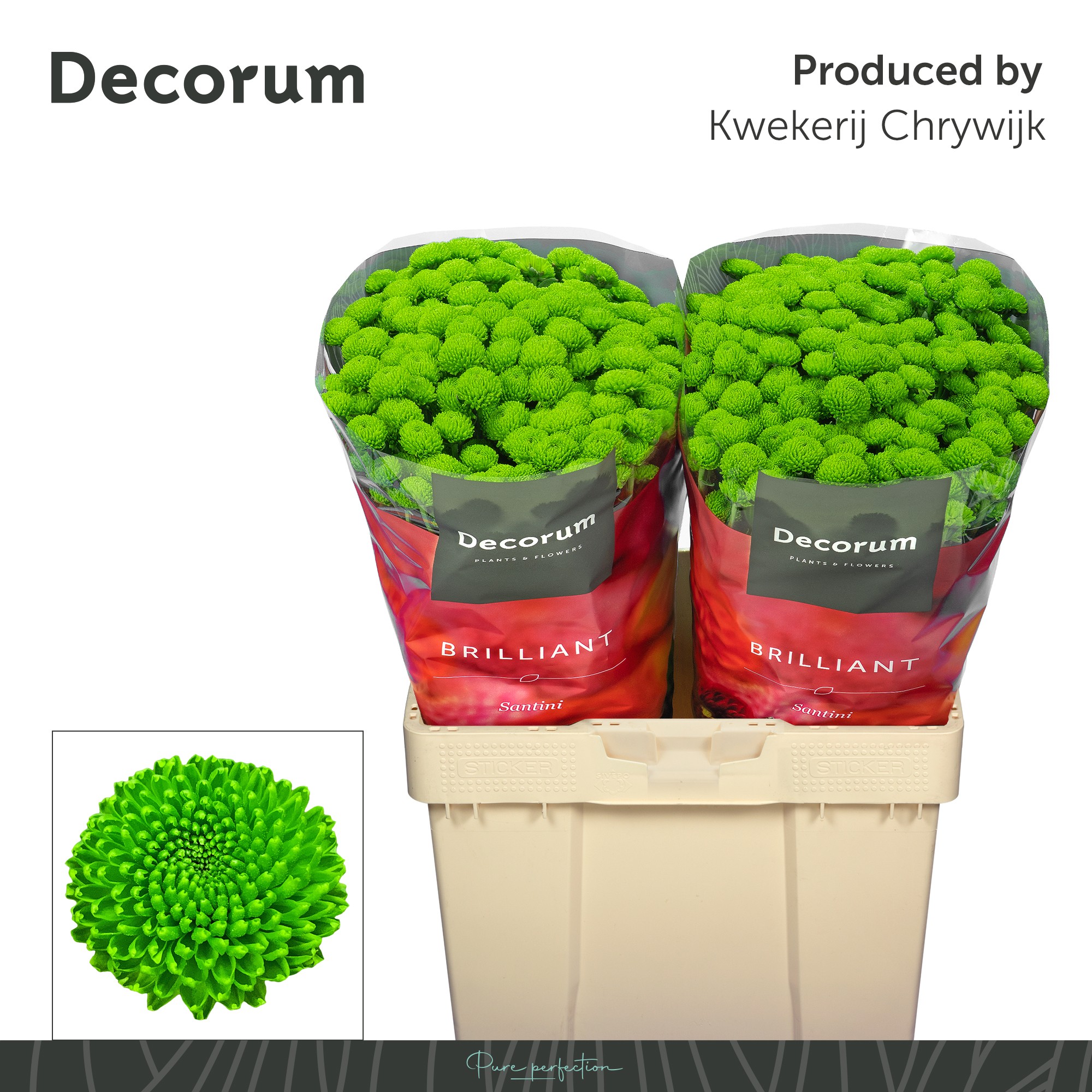 Сантини Пепток (зел.), шт.