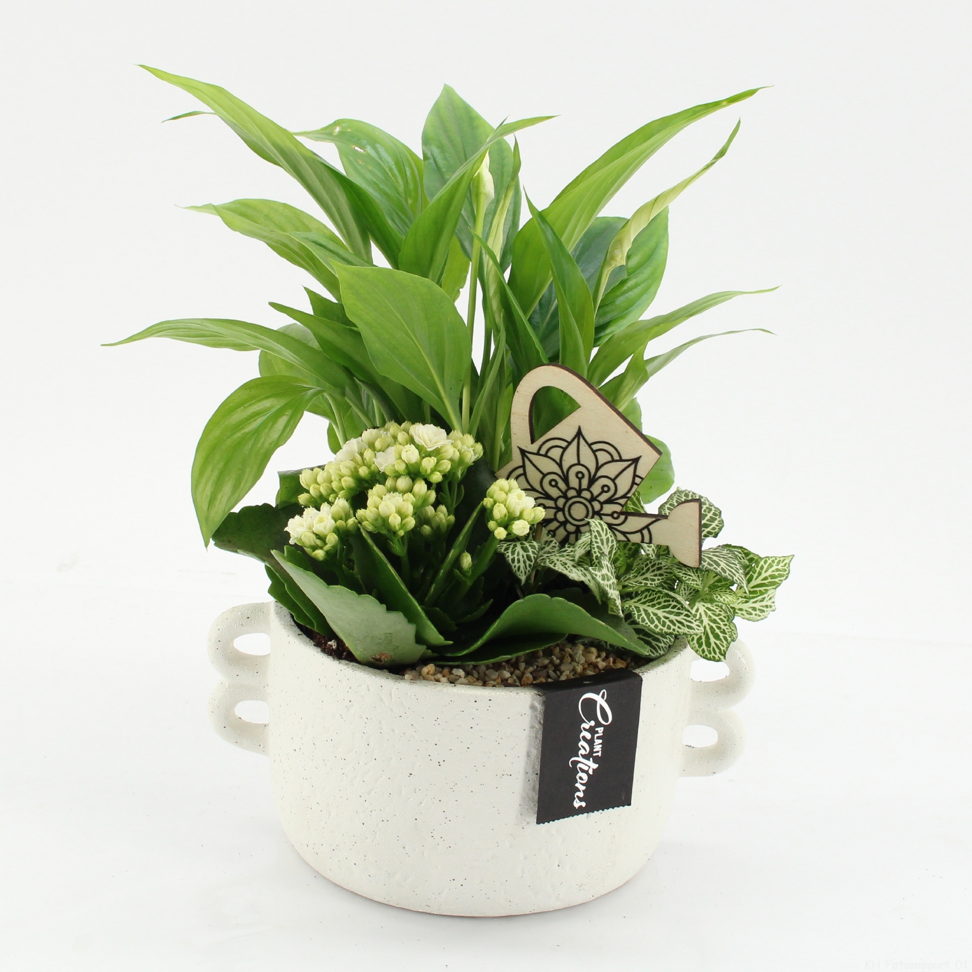 ESCR-2638W Essentials, D 20