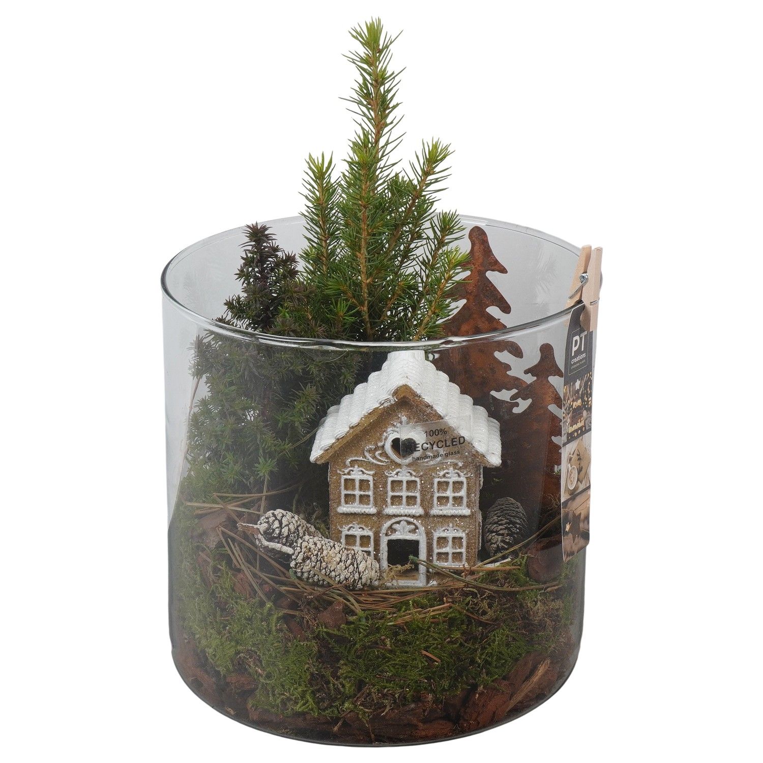 PTCWW6818 Arrangement Winter in glazen vaas, D 19 cm