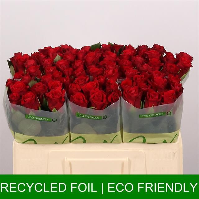 Роза од. Рэд Риббон 50, шт.
