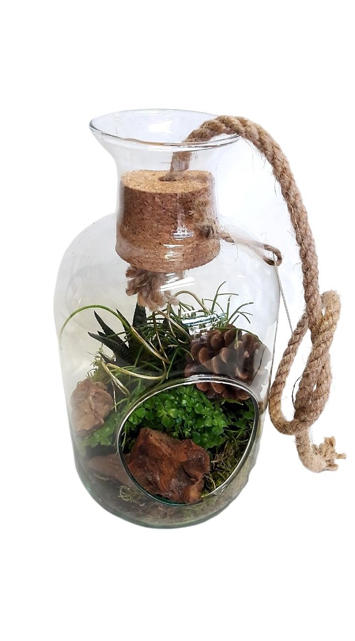 812 KST Terrarium +Kurk+touw Succulentmix Kerst, D 14