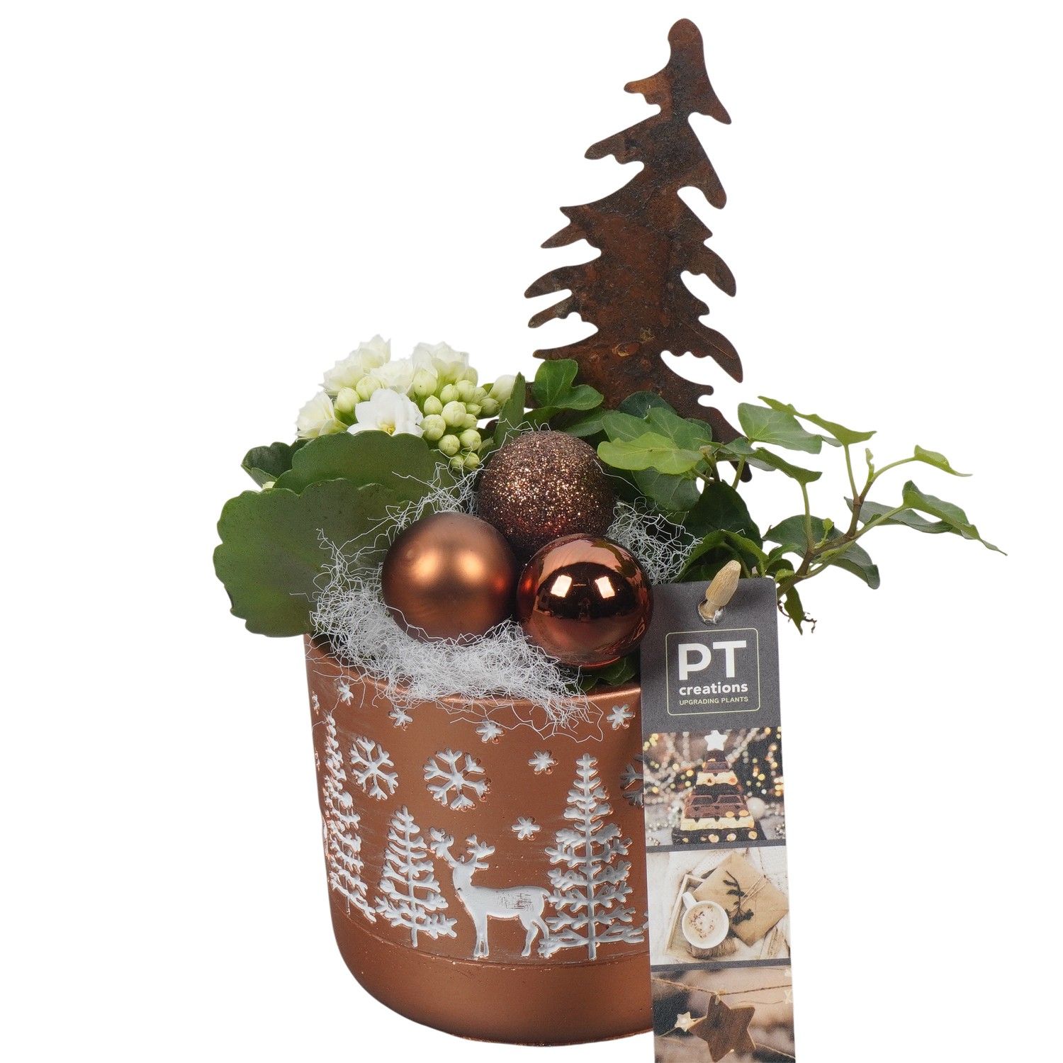 PTCHB9762 Arrangement Christmas Bronze in beton pot, D 11 cm