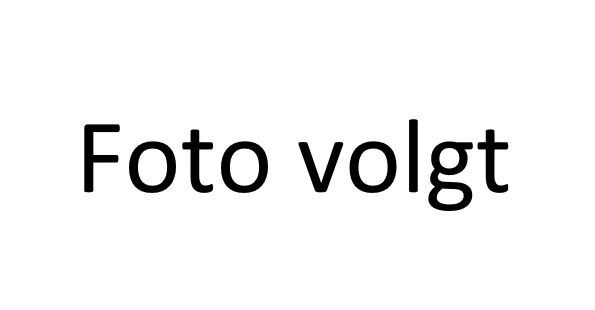 Rosa 'Orange Dawn' - Klim - C3rp - Exclusive Collection, D 19