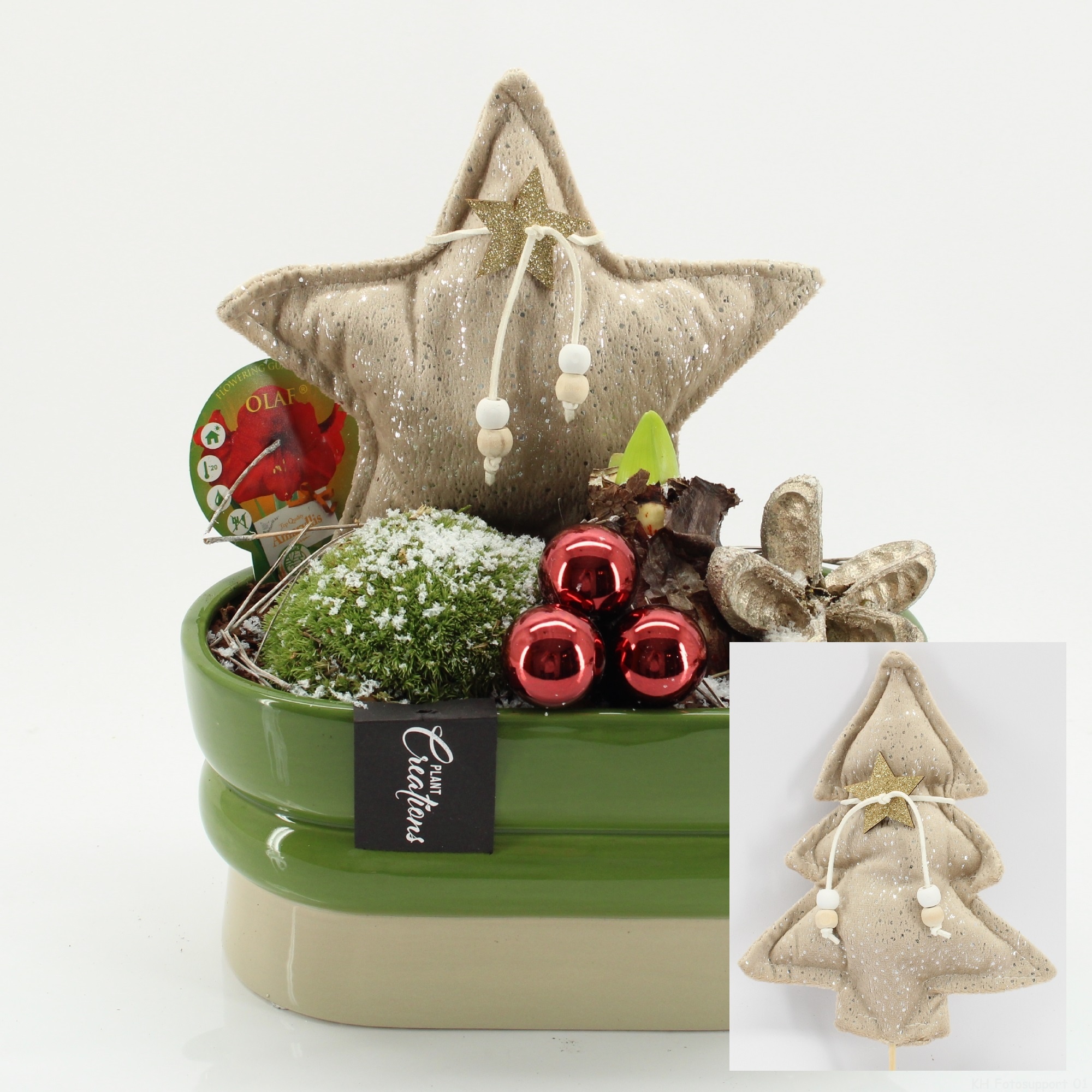 HICR-2517R Kerst Amaryllis, D 23 cm