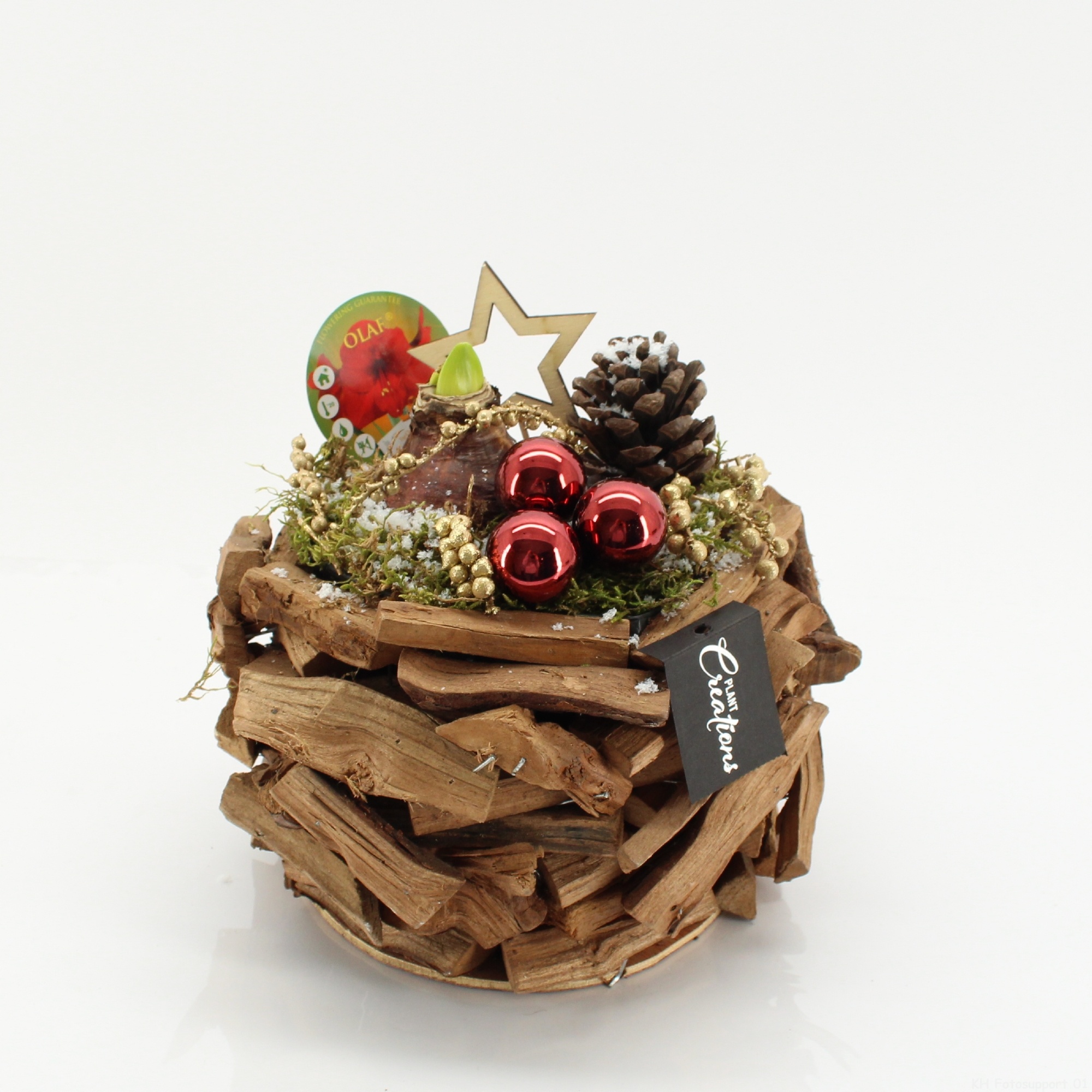 HICR-2523R Kerst Amaryllis, D 25 cm