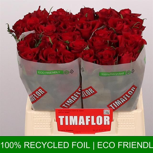 Роза од. Эвер Рэд 40, шт.