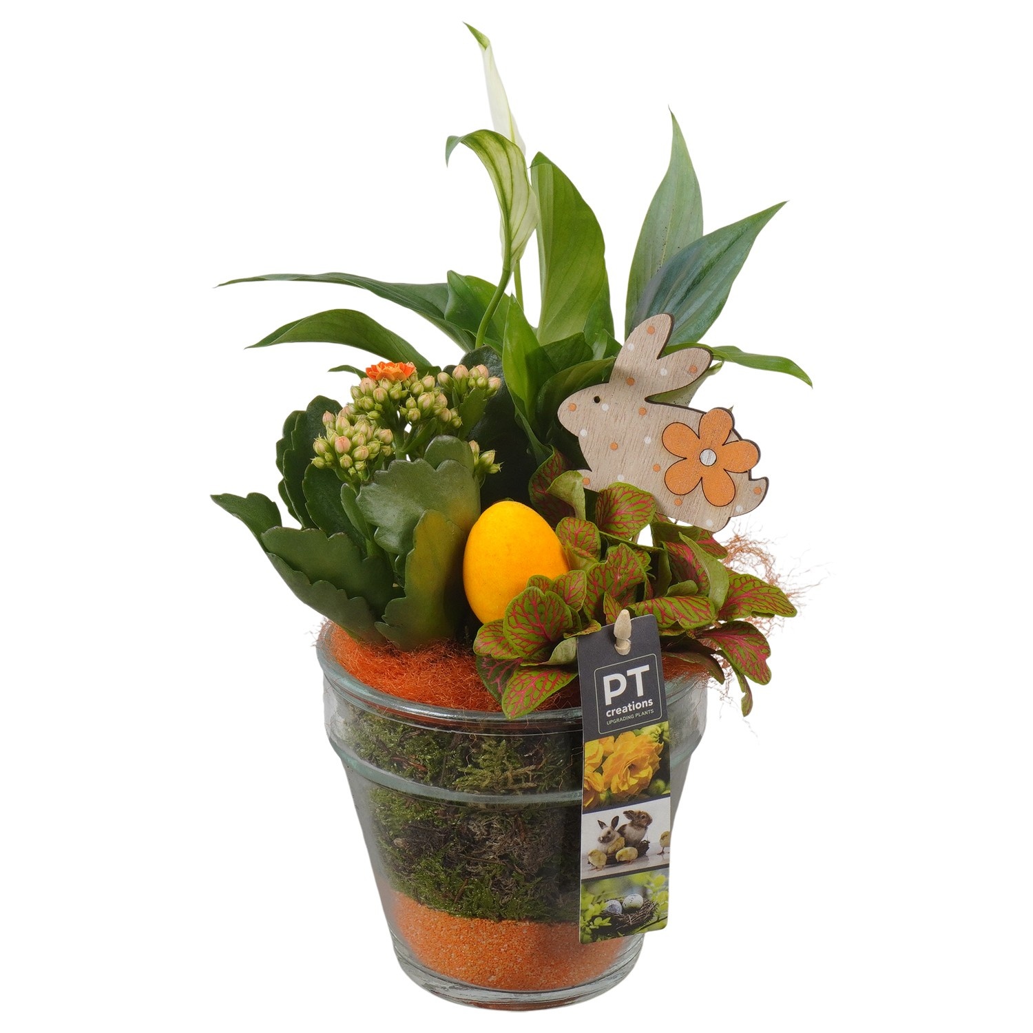 PTPG9396 Arrangement Easter in glas vaas, D 13