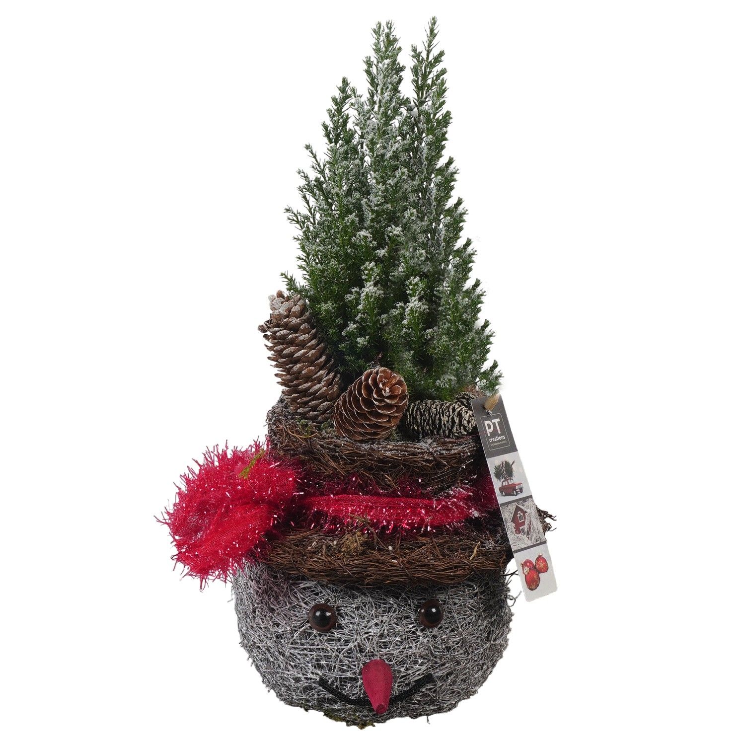 PTCWW6880 Arrangement Winter in rieten mand, D 18 cm