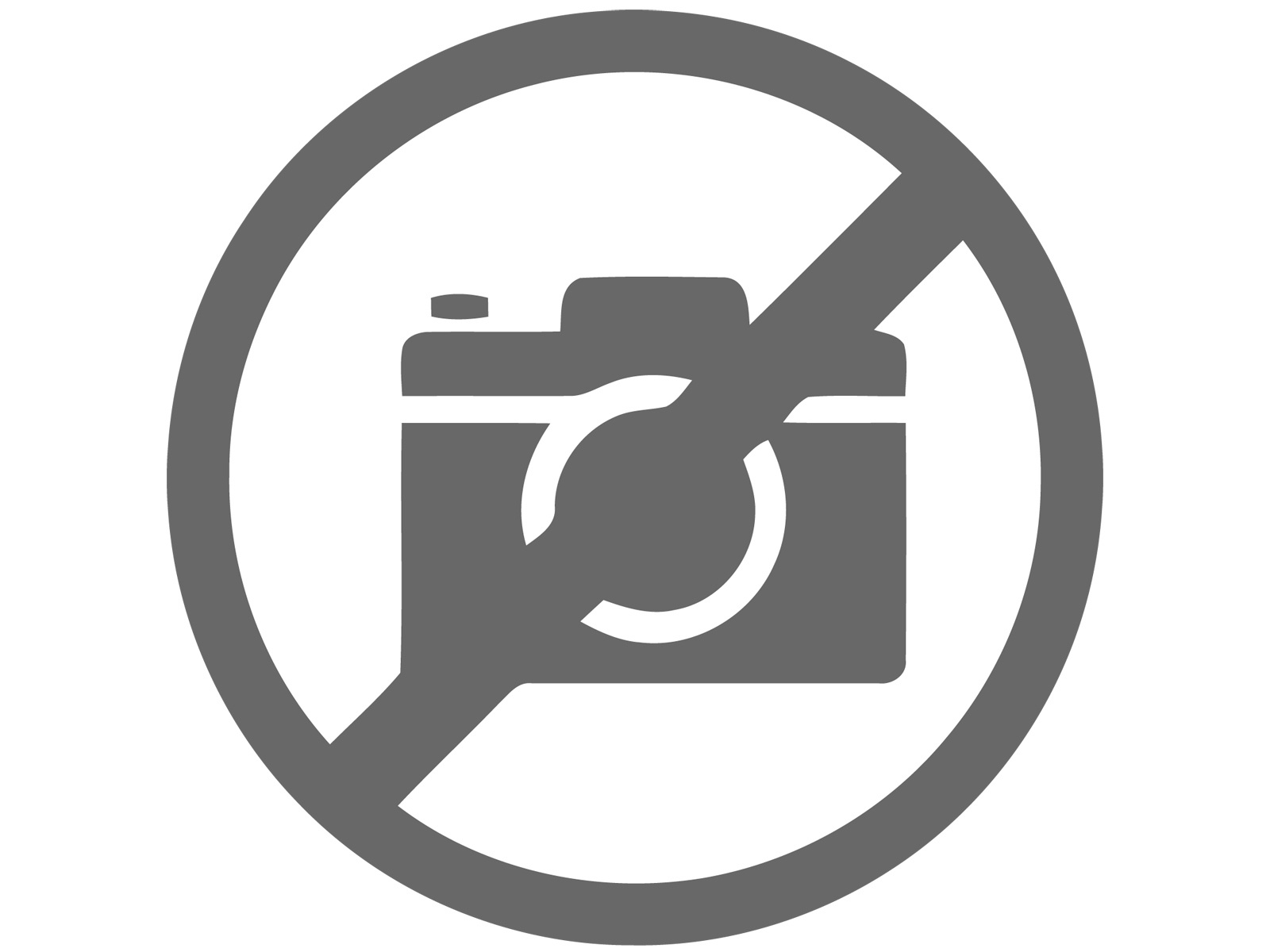 Beaucarnea vertakt 80 cm (Scenza), D 80